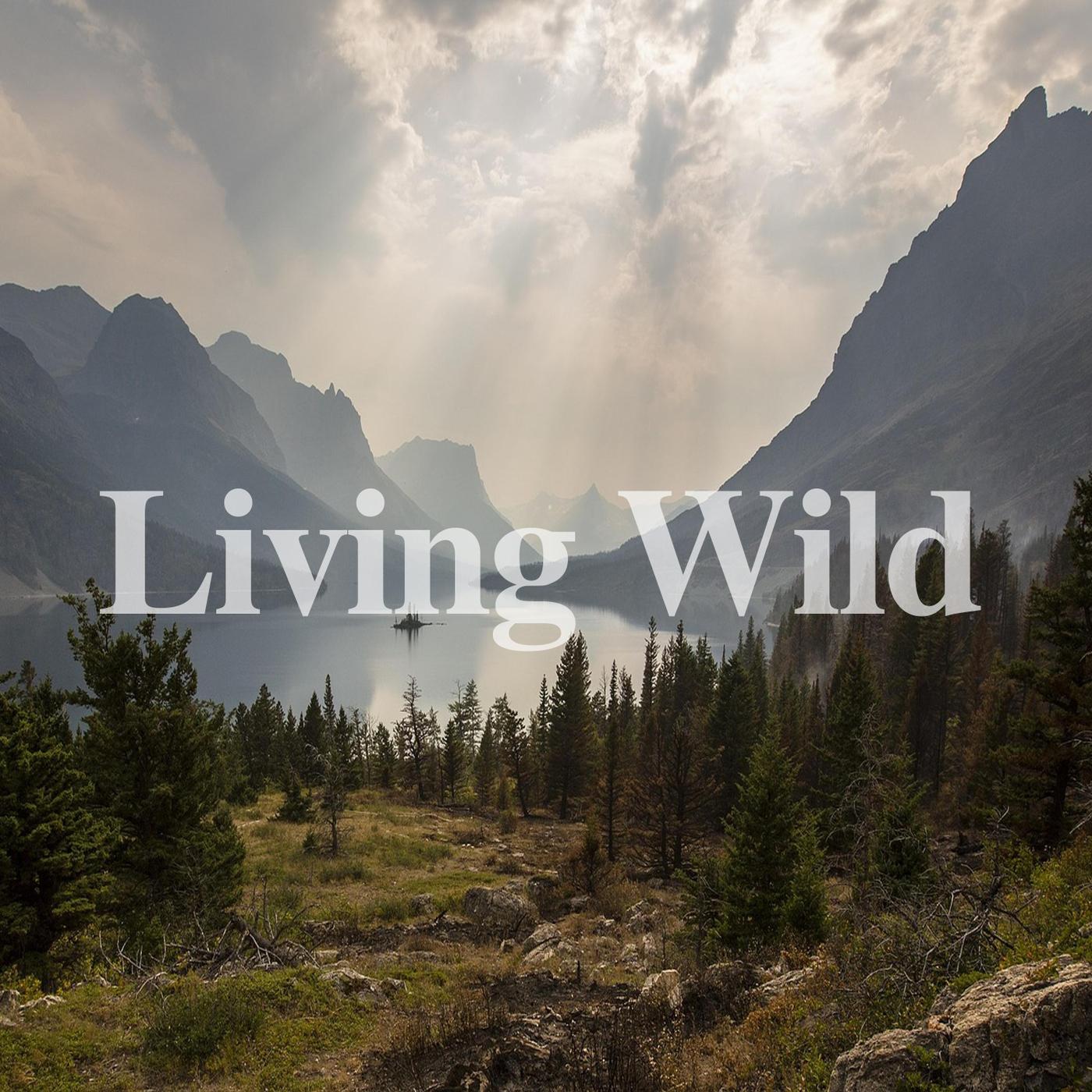 Living Wild