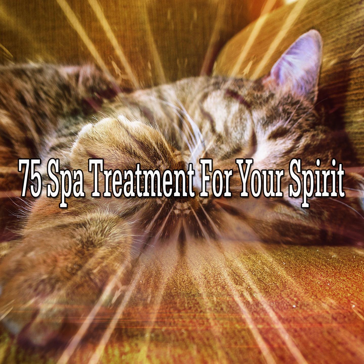 75 Spa Treatment for Your Spirit