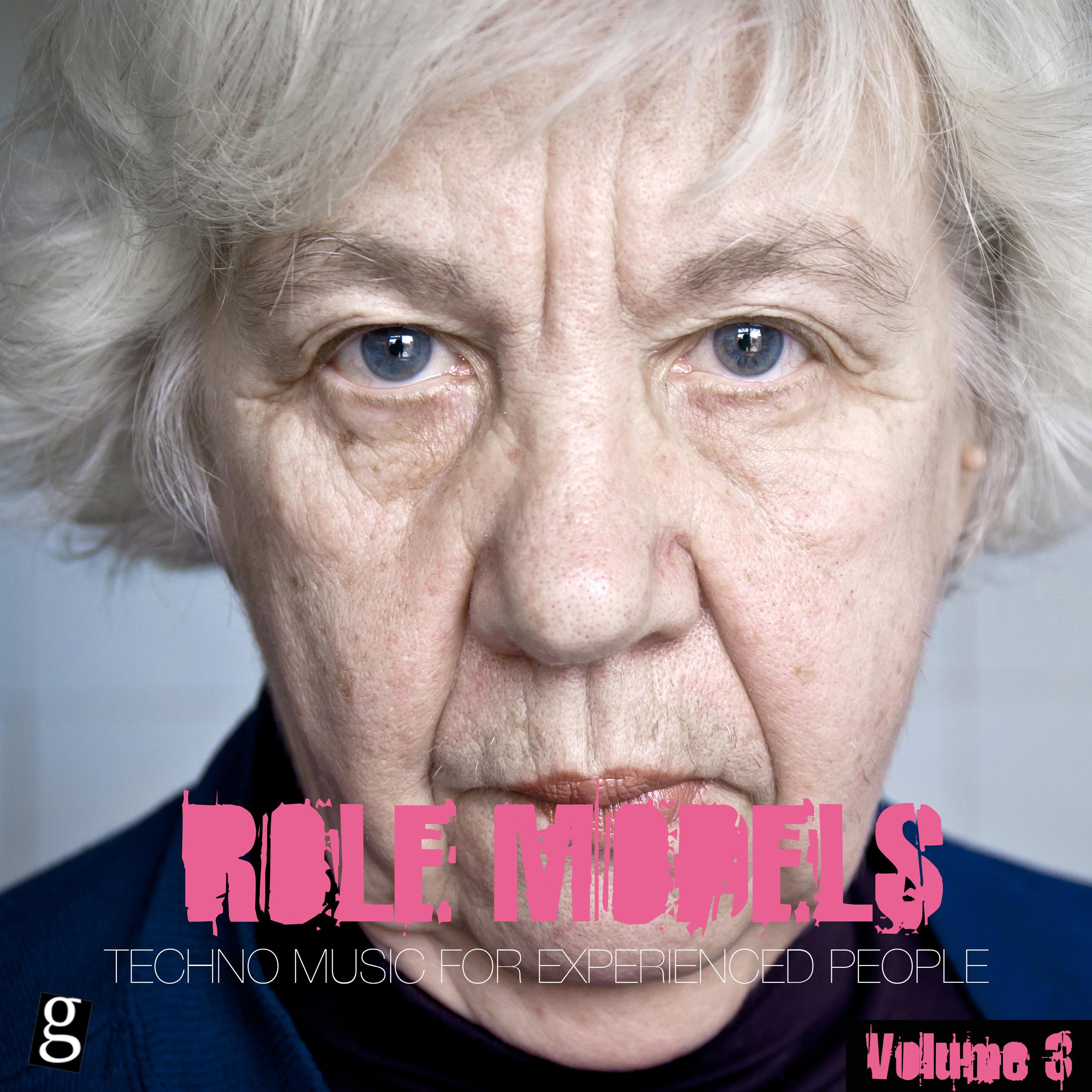 Role Models, Vol. 3 - Techno Music for Experienced People