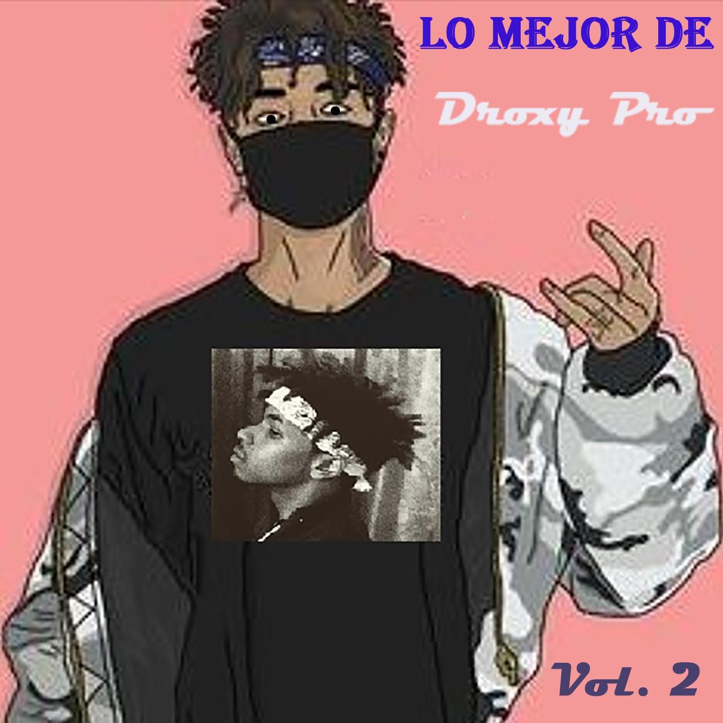 The Best of Droxy Pro, Vol. 2