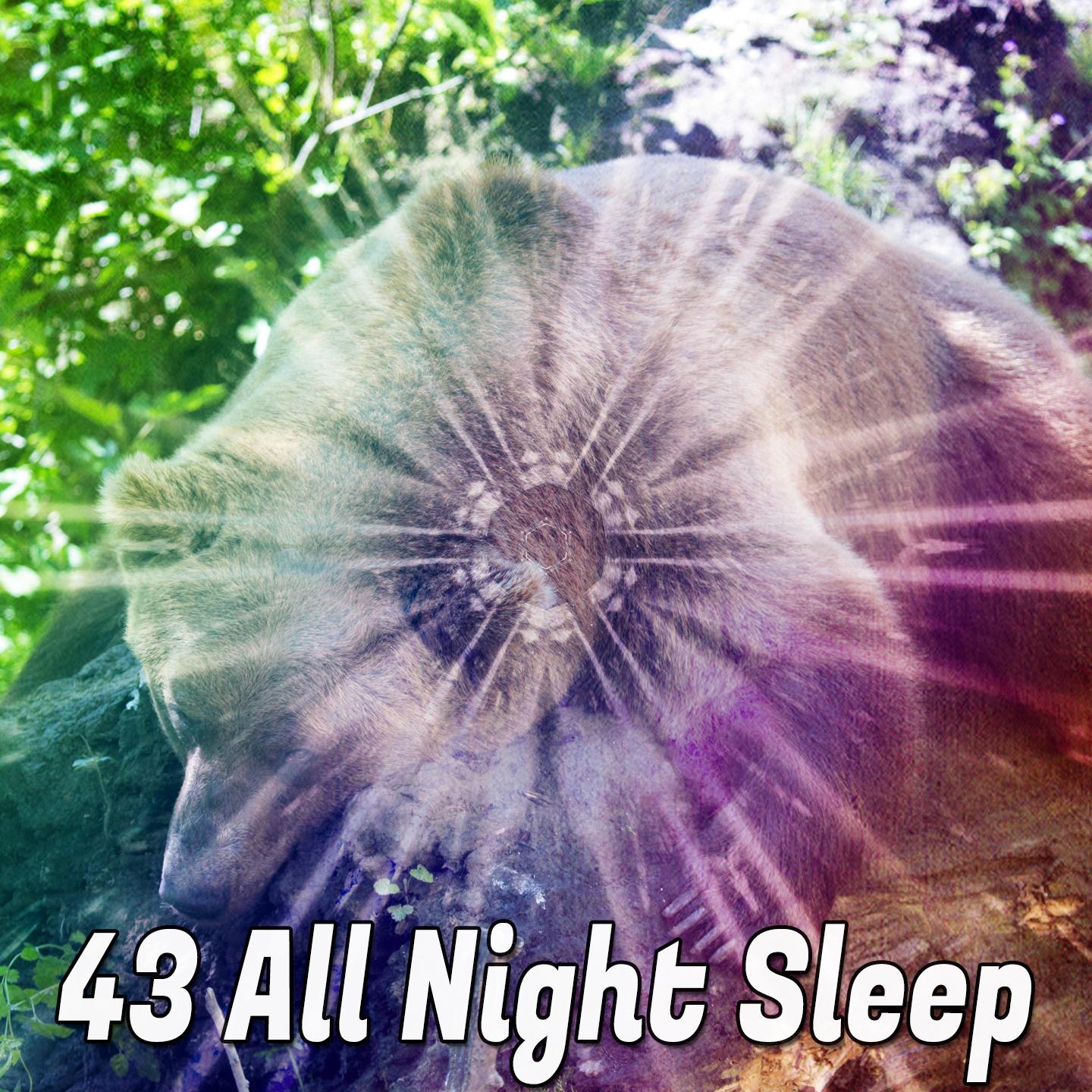 43 All Night Sleep