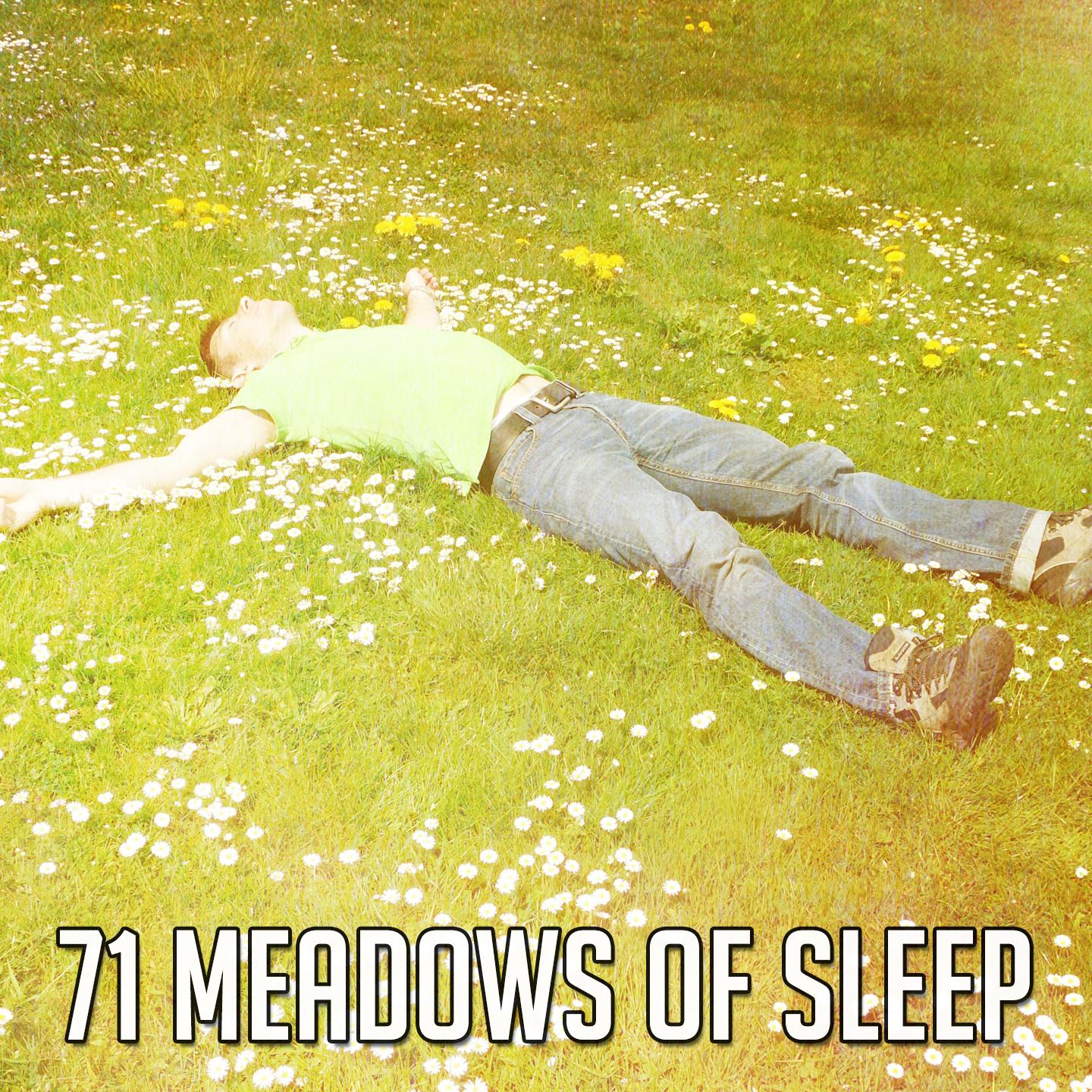 71 Meadows of Sleep