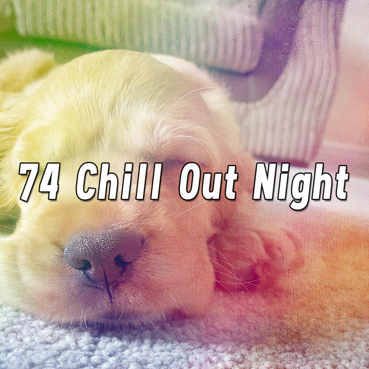 74 Chill out Night