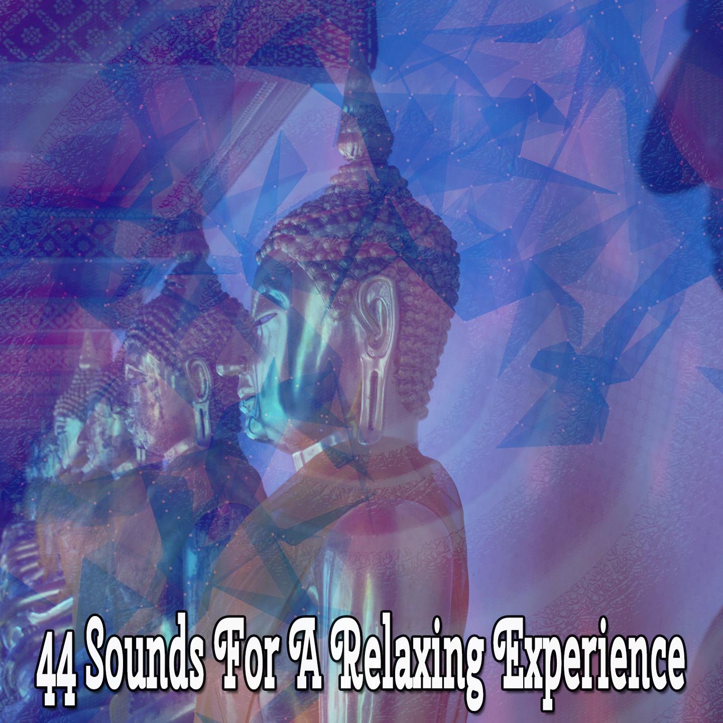 44 Sounds for a Relaxing Experience