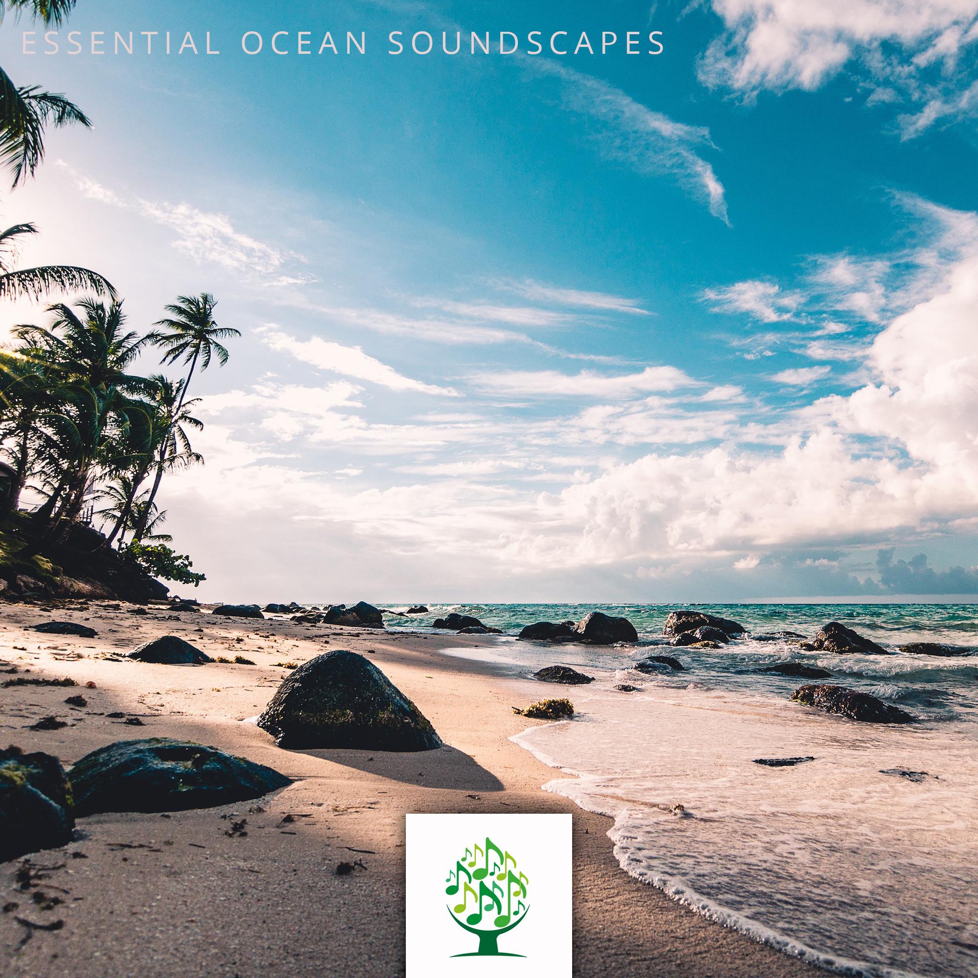 Essential Ocean soundscapes