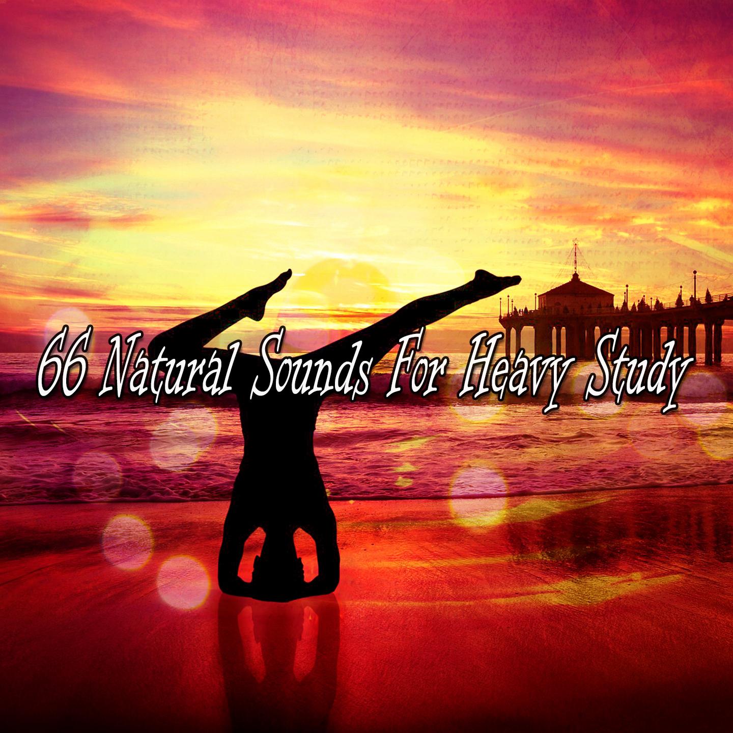 66 Natural Sounds for Heavy Study