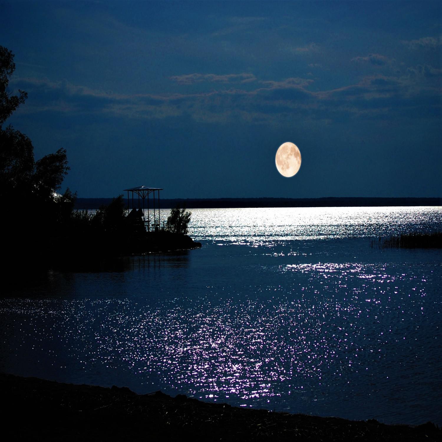 Lake at Night: Evening Nature