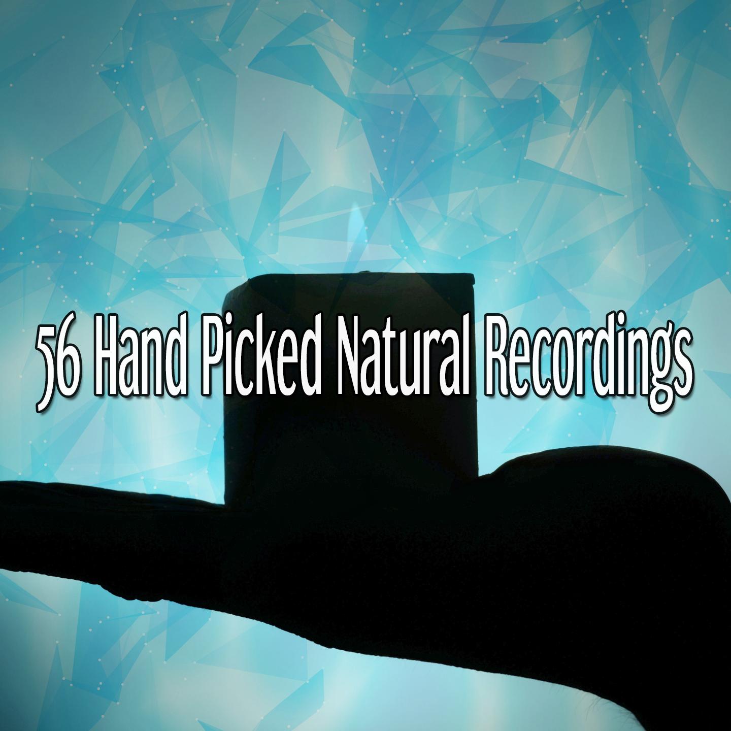 56 Hand Picked Natural Recordings