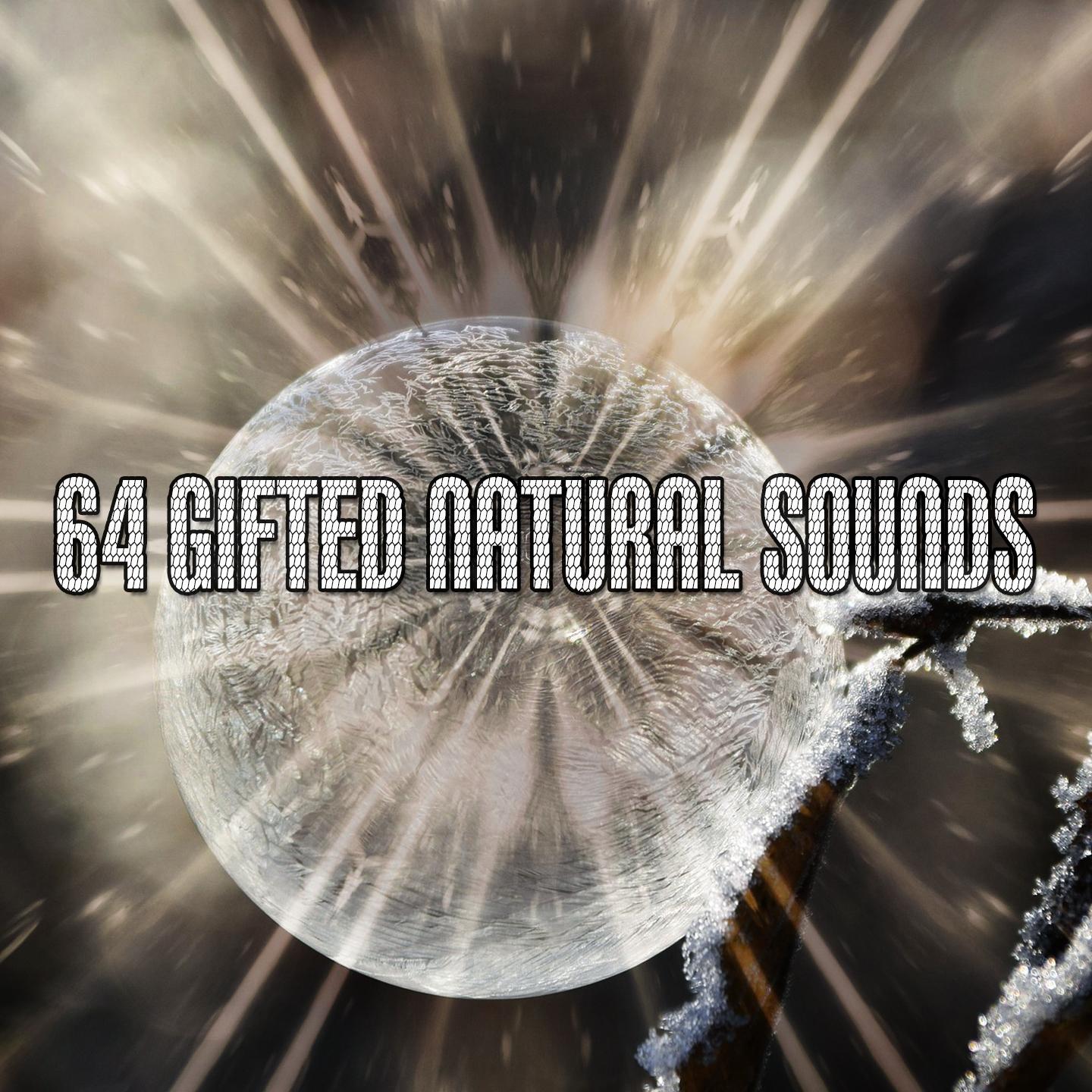 64 Gifted Natural Sounds