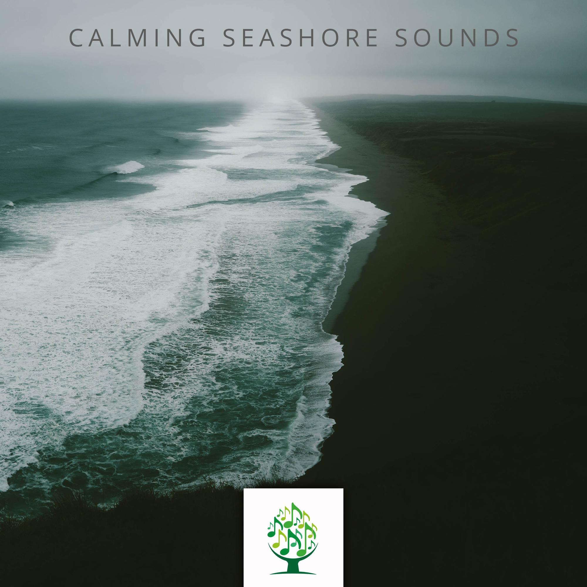 Calming Seashore Sounds