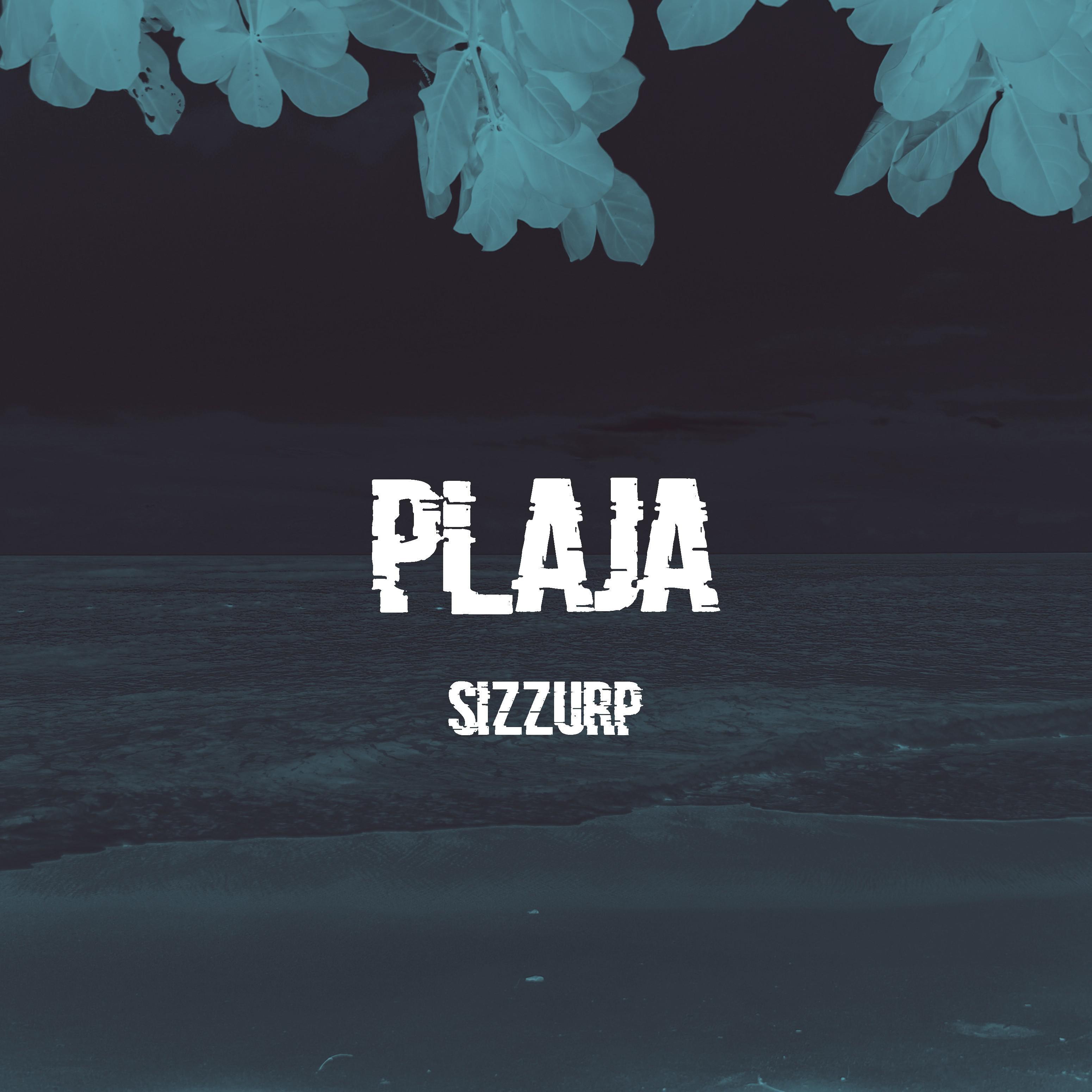 Plaja