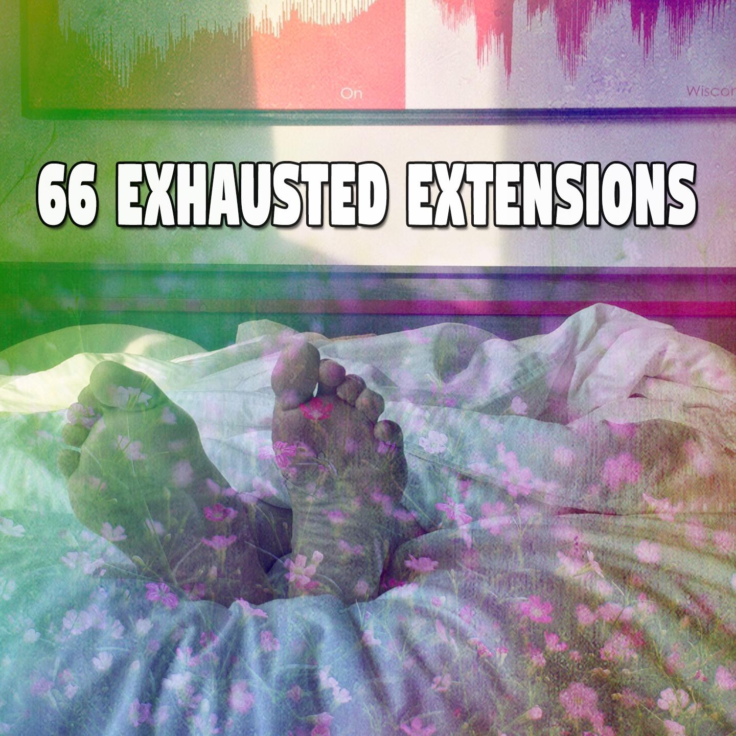66 Exhausted Extensions