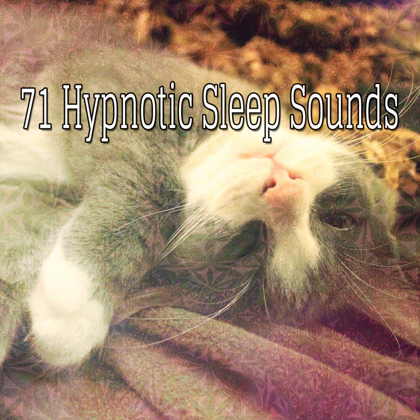71 Hypnotic Sleep Sounds