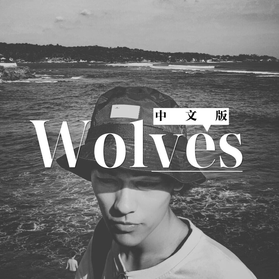 Wolves中文版