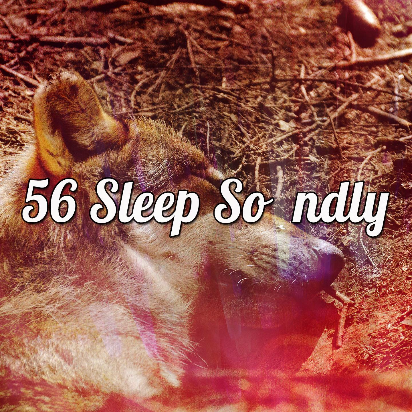 56 Sleep Soundly