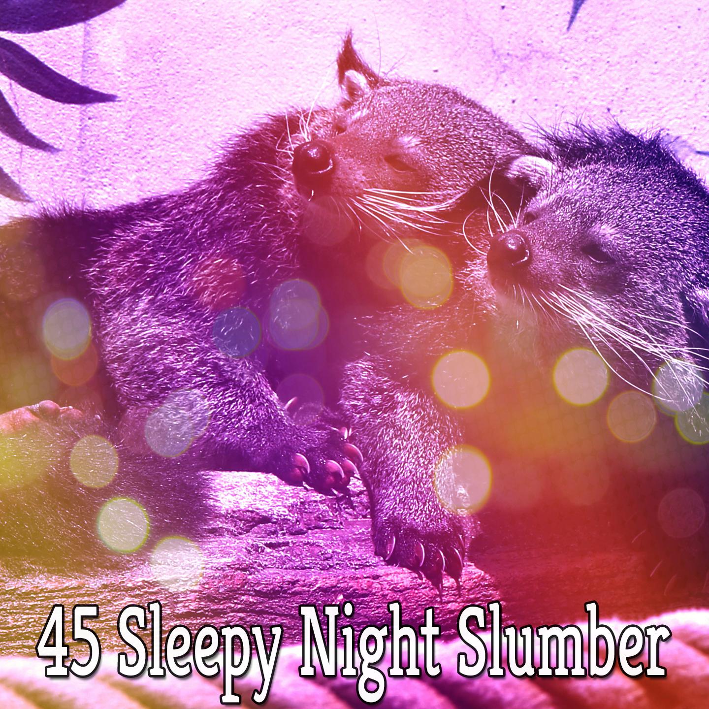 45 Sleepy Night Slumber