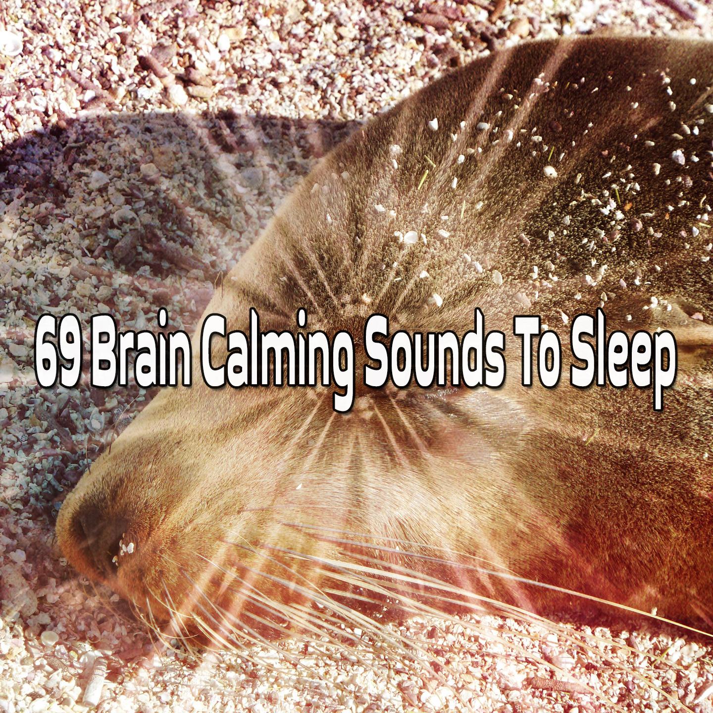 69 Brain Calming Sounds to Sleep