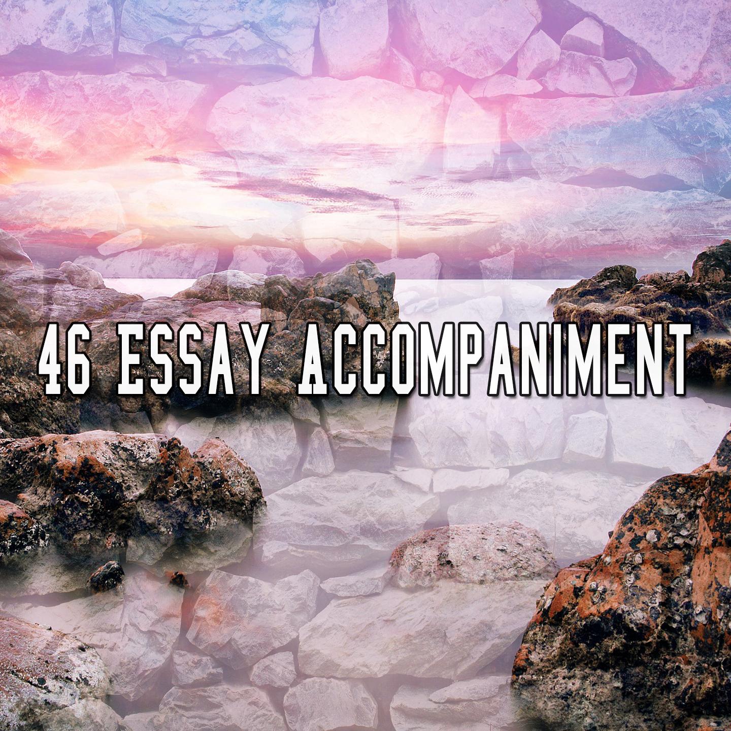 46 Essay Accompaniment