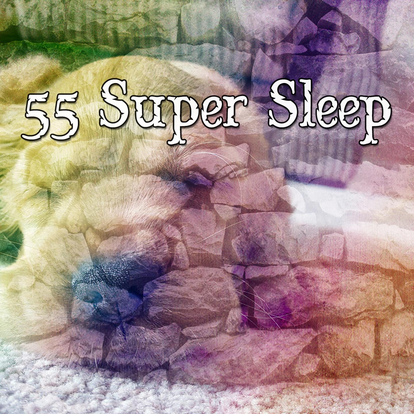 55 Super Sleep