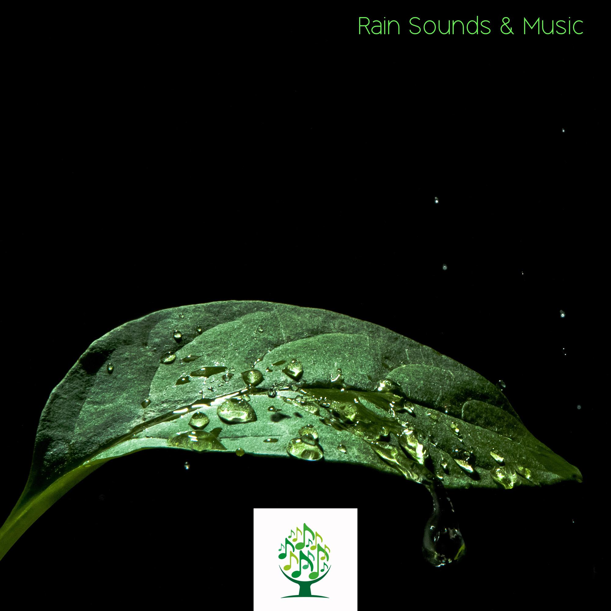 Rain Sounds & Music