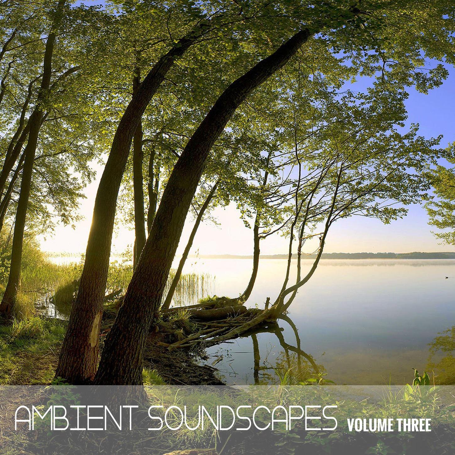 Ambient SoundScapes, Vol 3 - Michael Horsphol