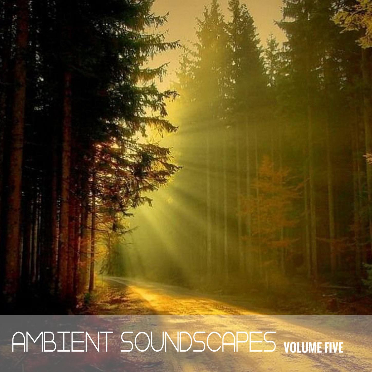 Ambient SoundScapes, Vol 5 - Michael Horsphol