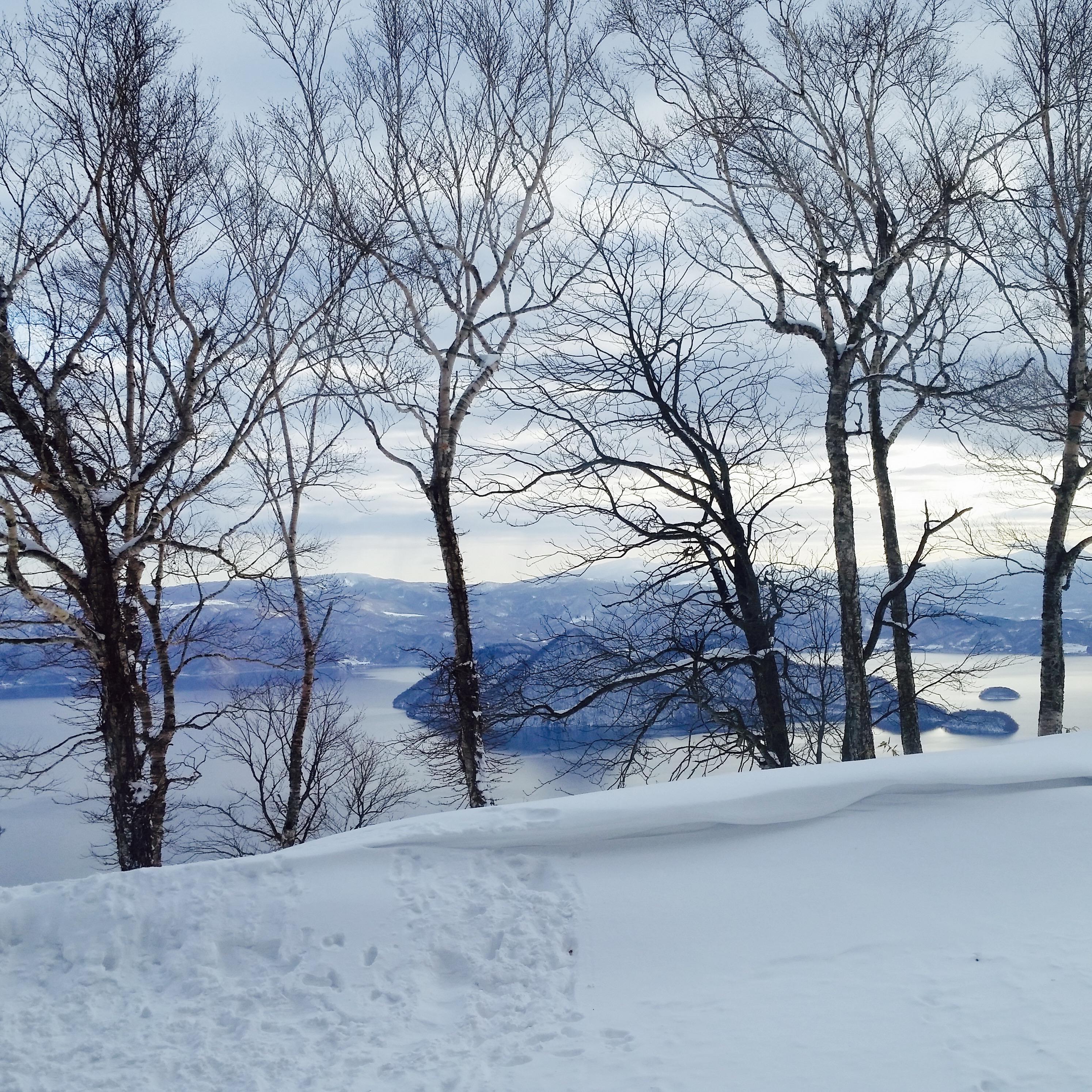 风雪忆佳人