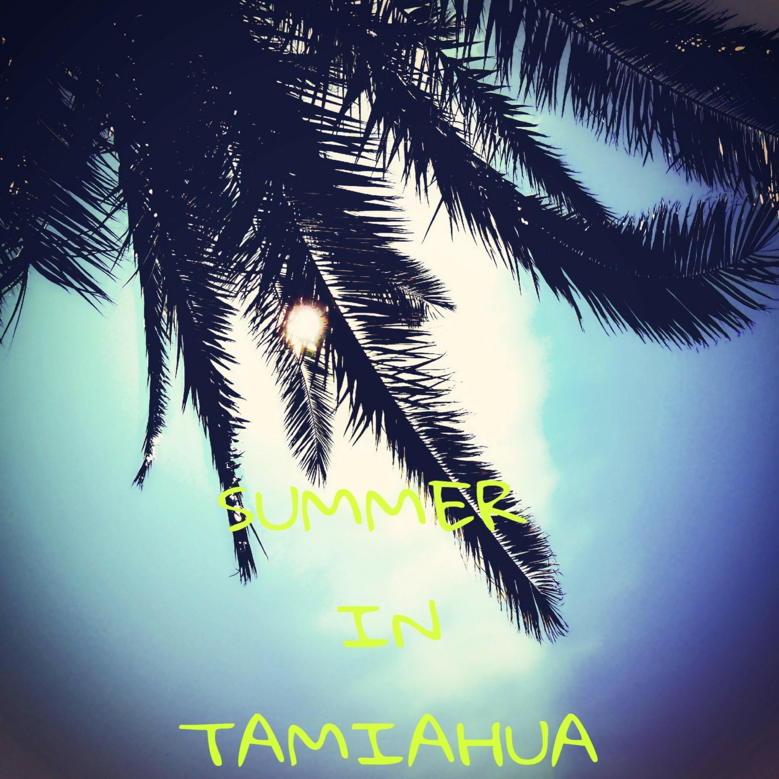 Summer in Tamiahua