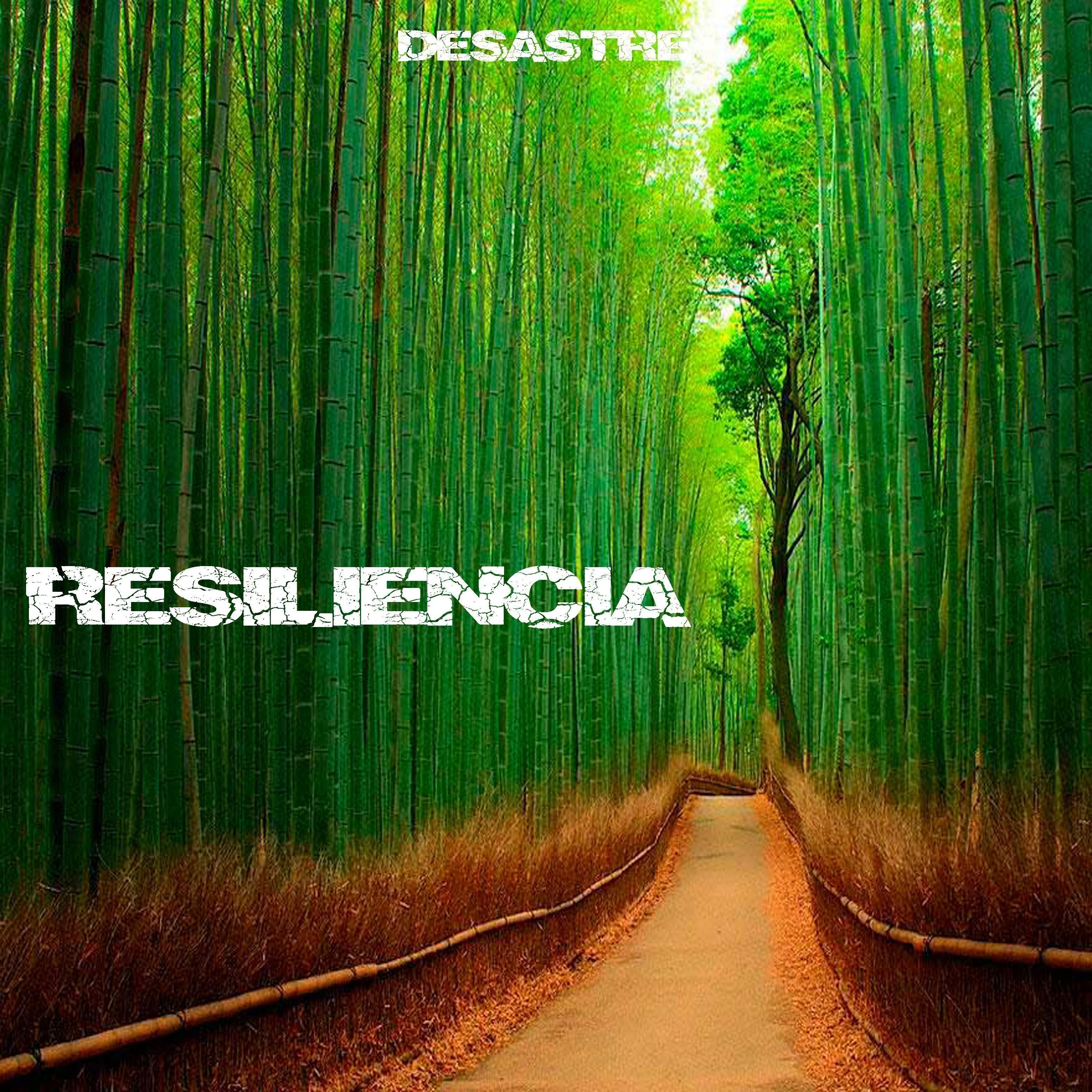 Resiliencia