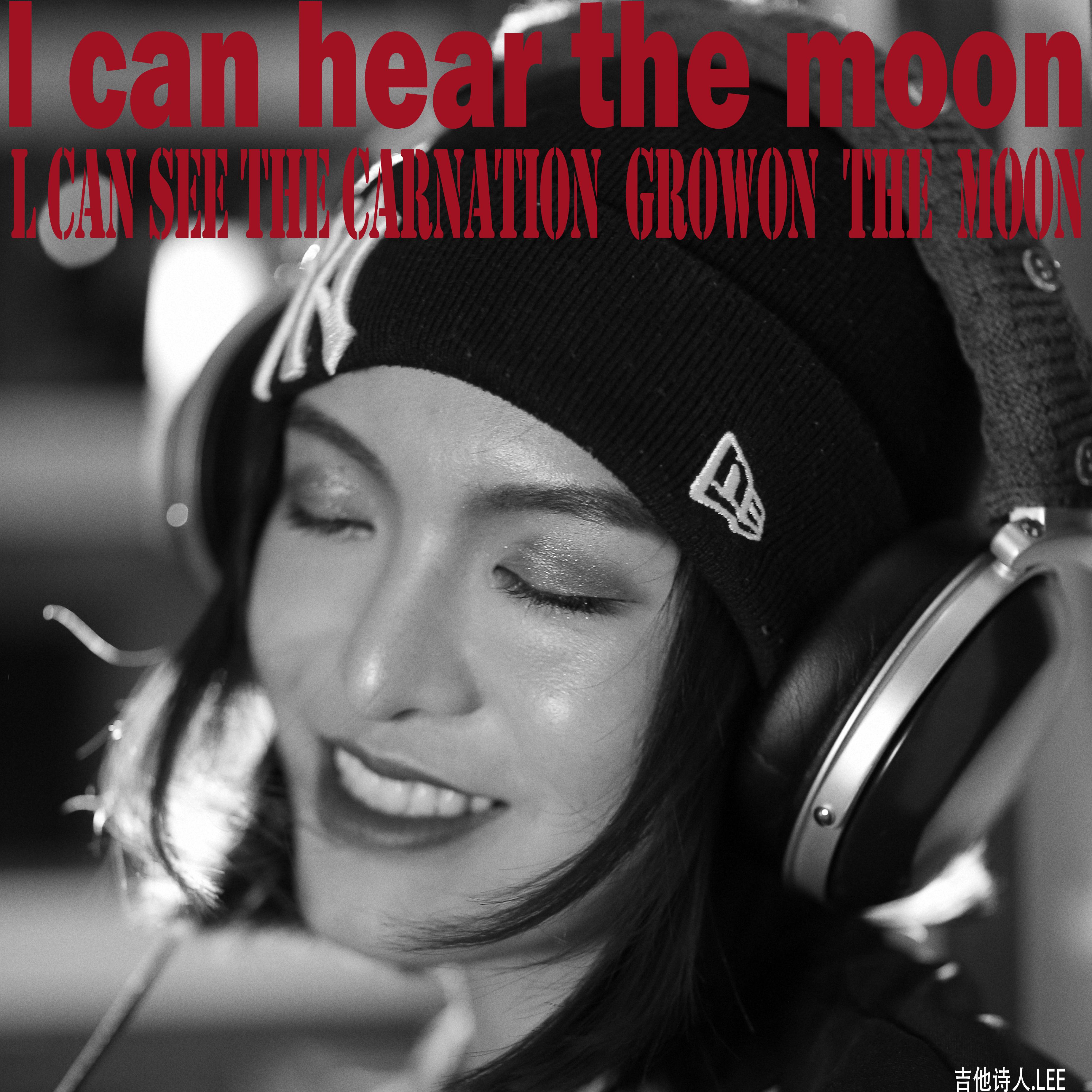 I can see the carnation grow on the moon 月亮上的康乃馨