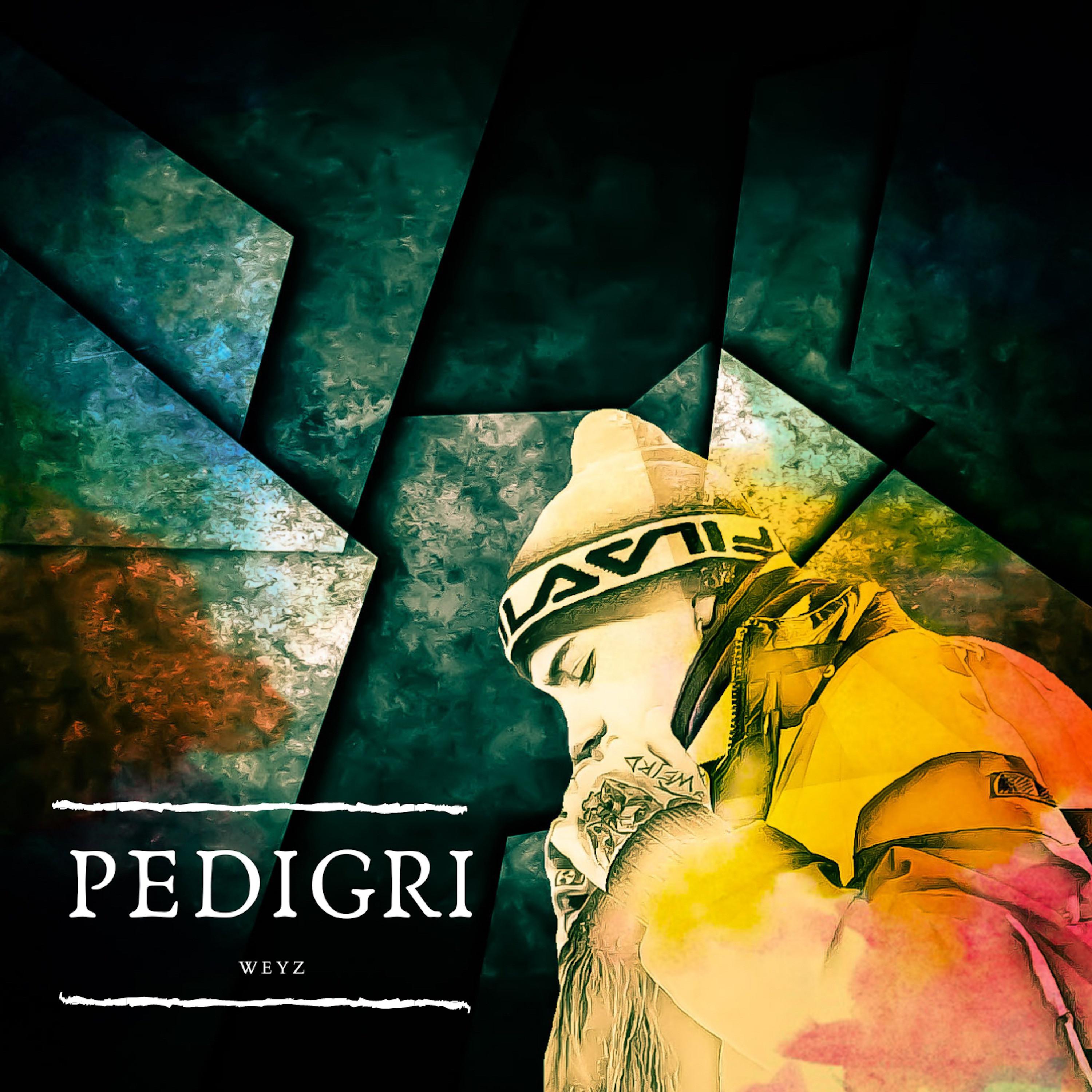 Pedigri