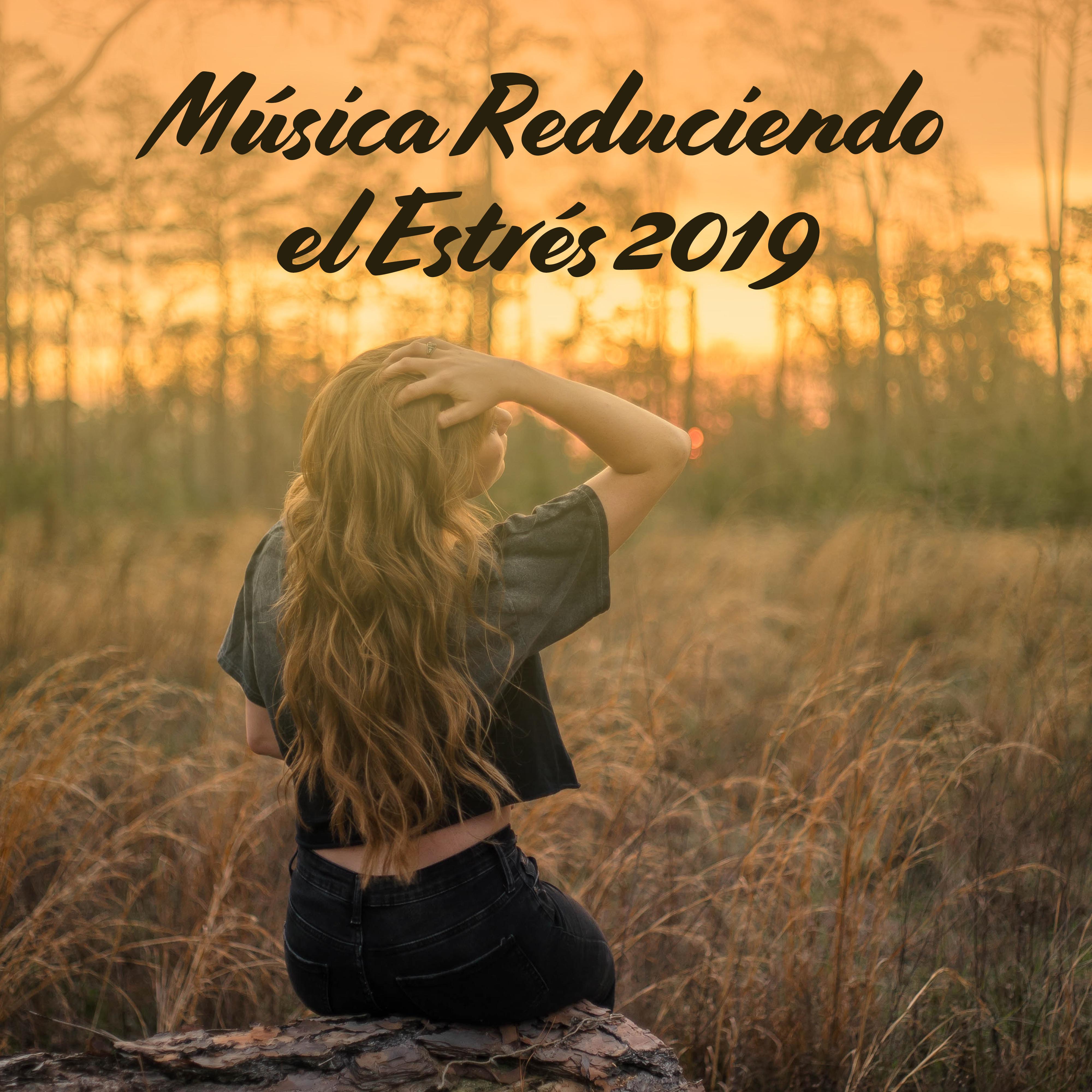 Música Reduciendo el Estrés 2019: Música Relajante de la Nueva Era para Descansar, Desestresarse y Calmarse