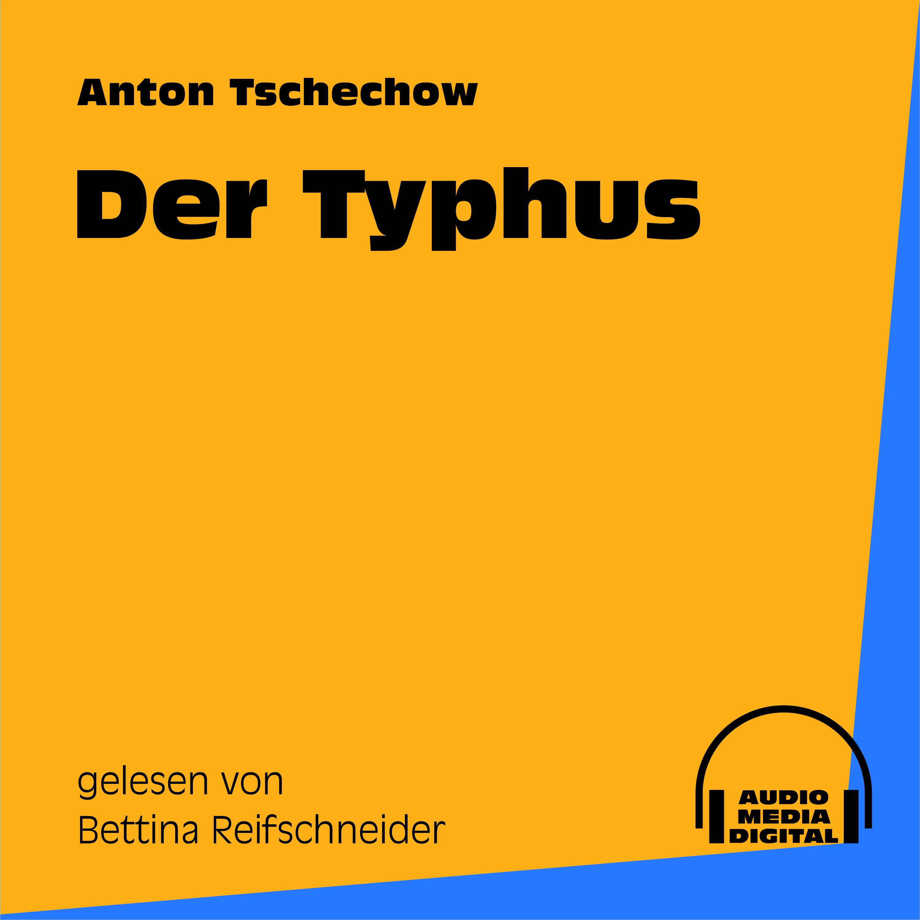 Der Typhus - Teil 5