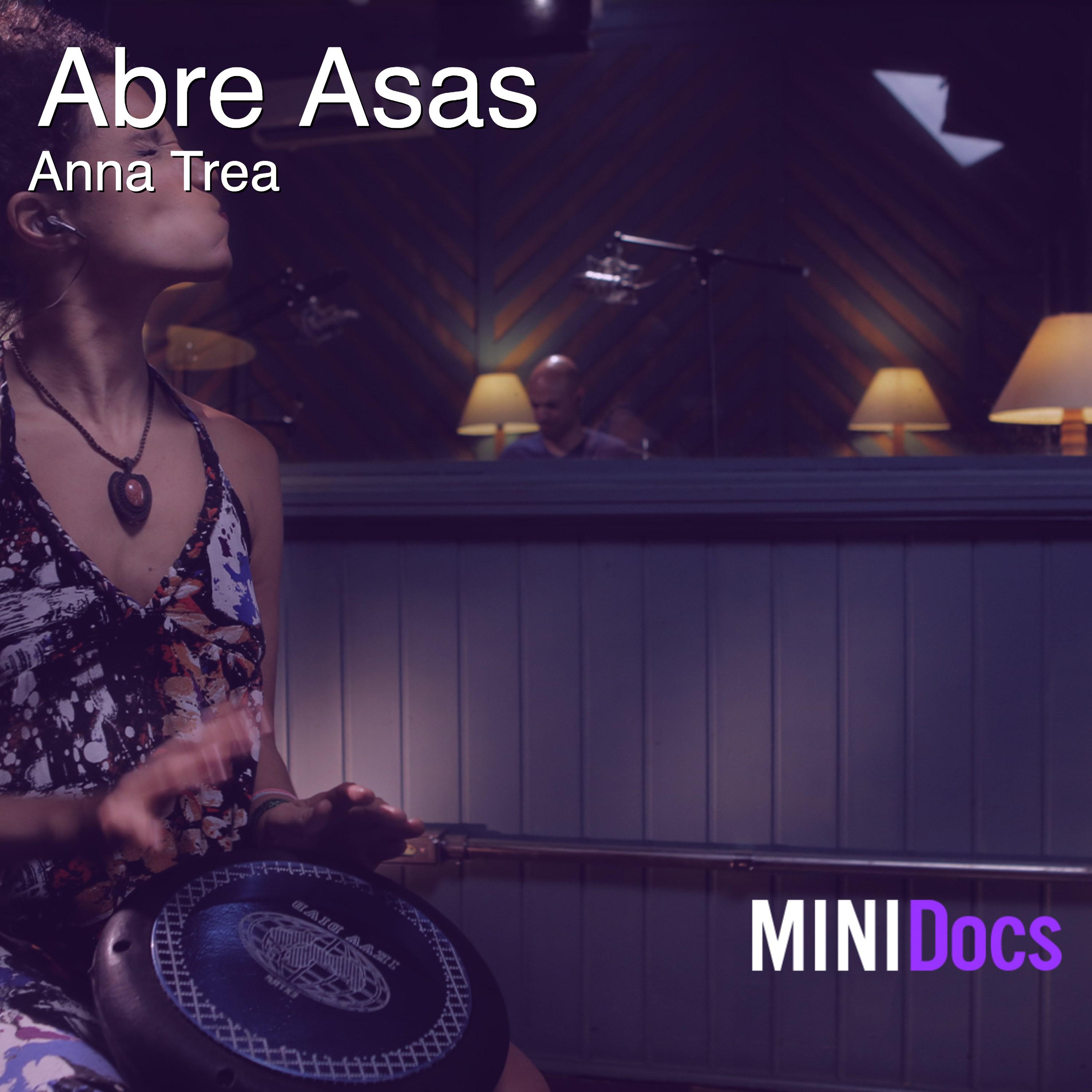 Abre Asas