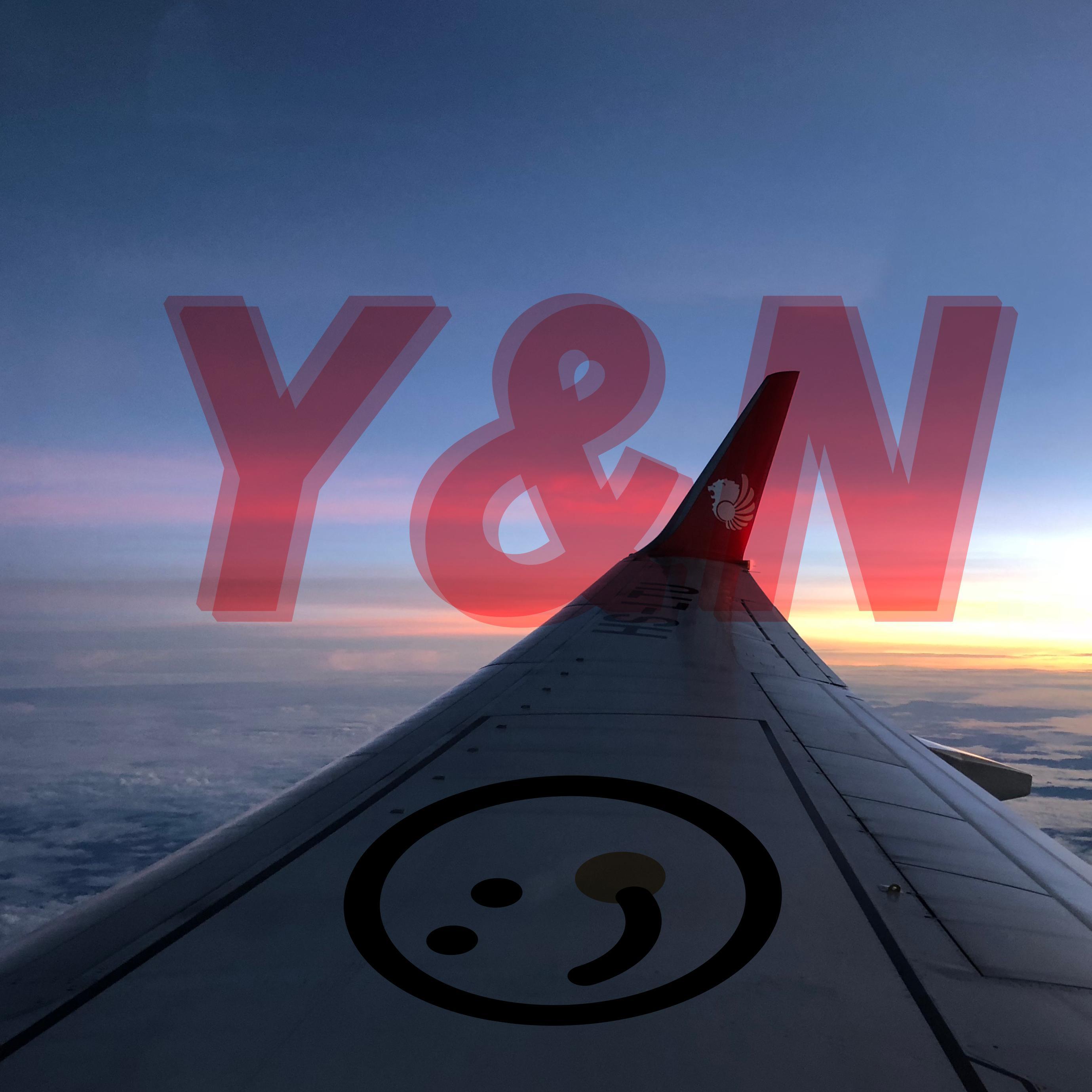 Y&N