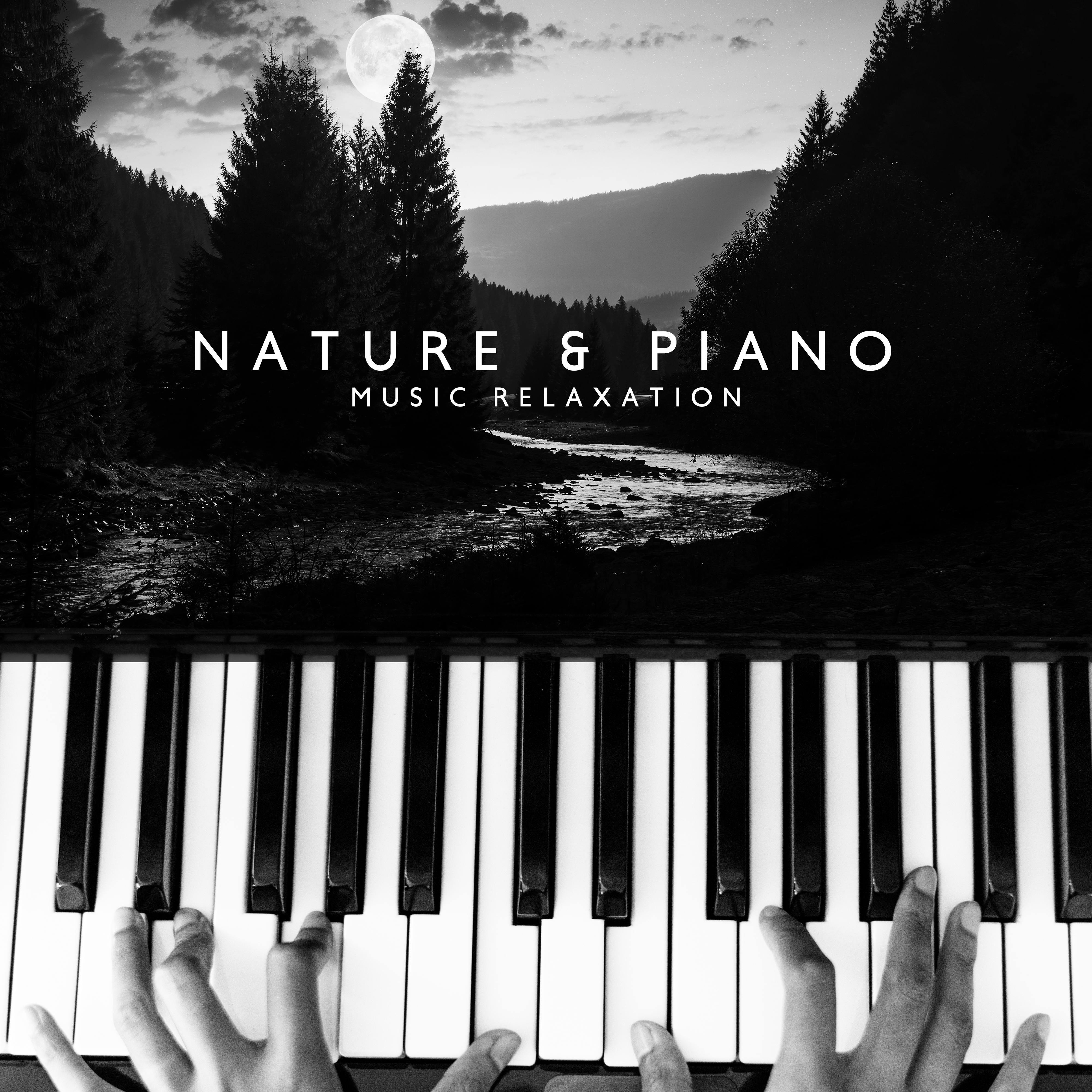 Nature & Piano Music Relaxation: New Age 15 Songs with Nature Sounds of Water, Birds, Forest, Wind for Relax, Calming Down & Stress Relief