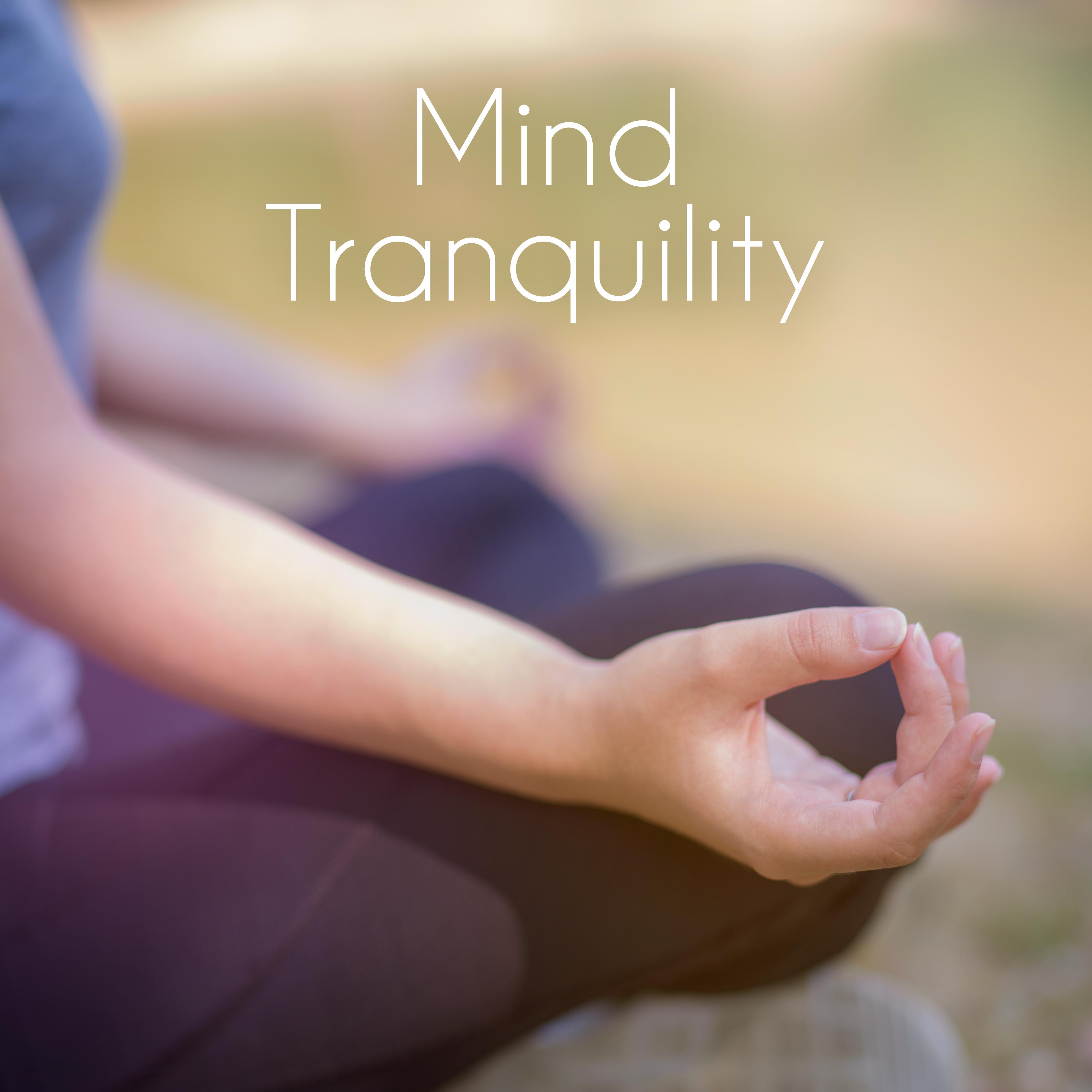 Mind Tranquility: Inner Self Control, Peace and Harmony through Meditation and Yoga Practice