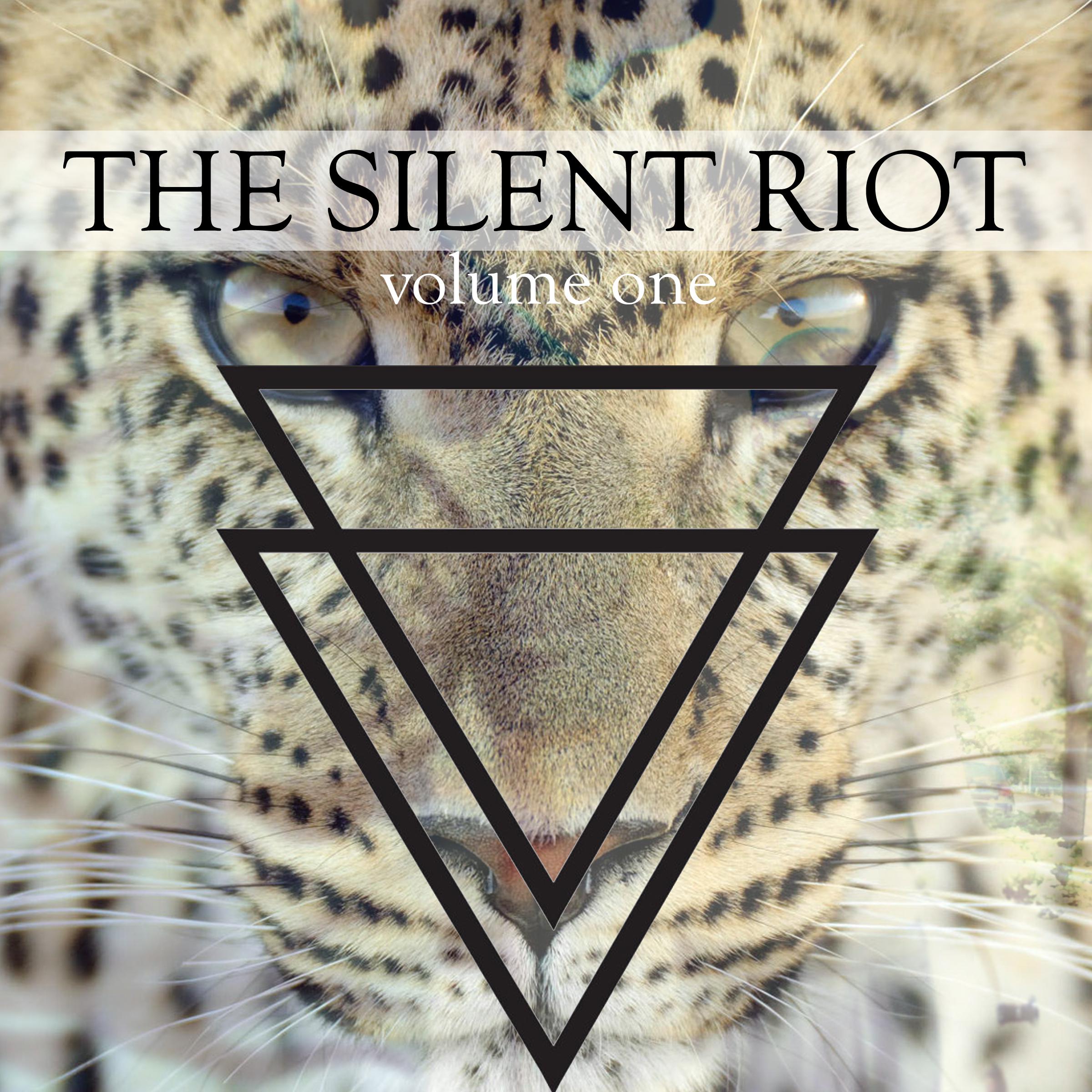 The Silent Riot, Vol. 1