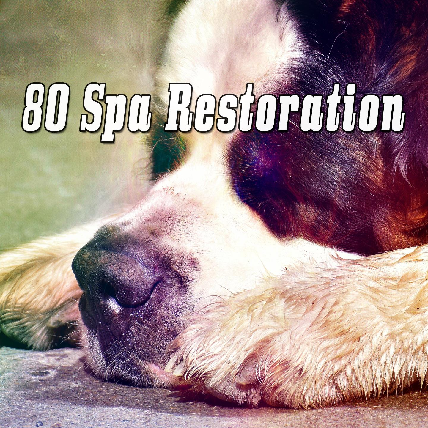80 Spa Restoration
