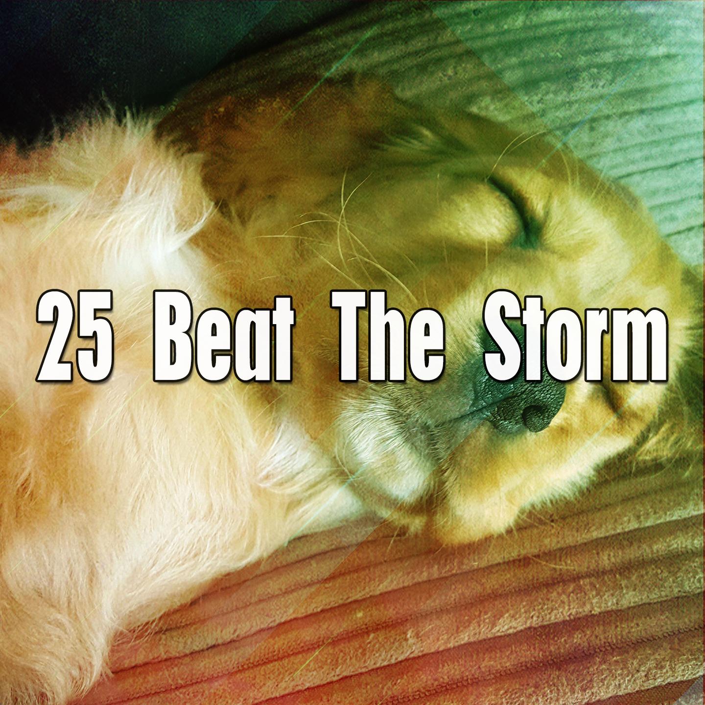 25 Beat the Storm