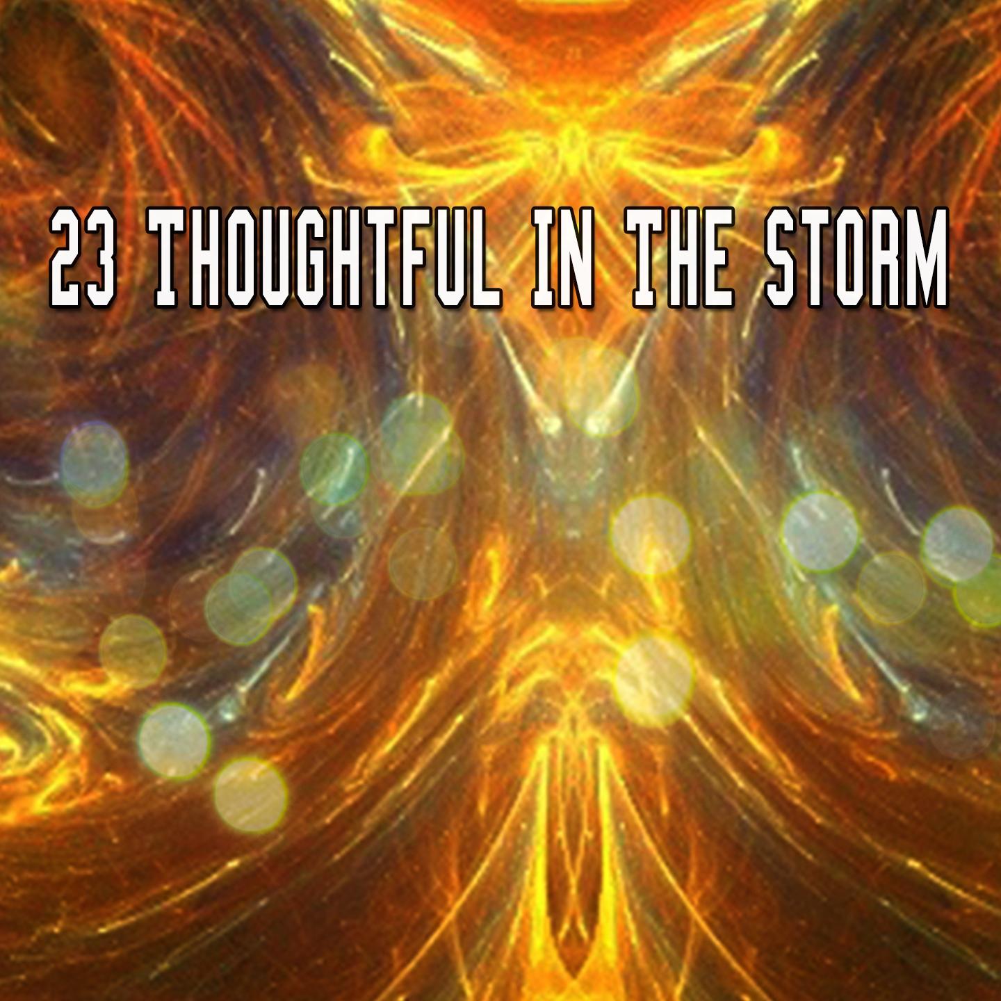 23 Thoughtful in the Storm