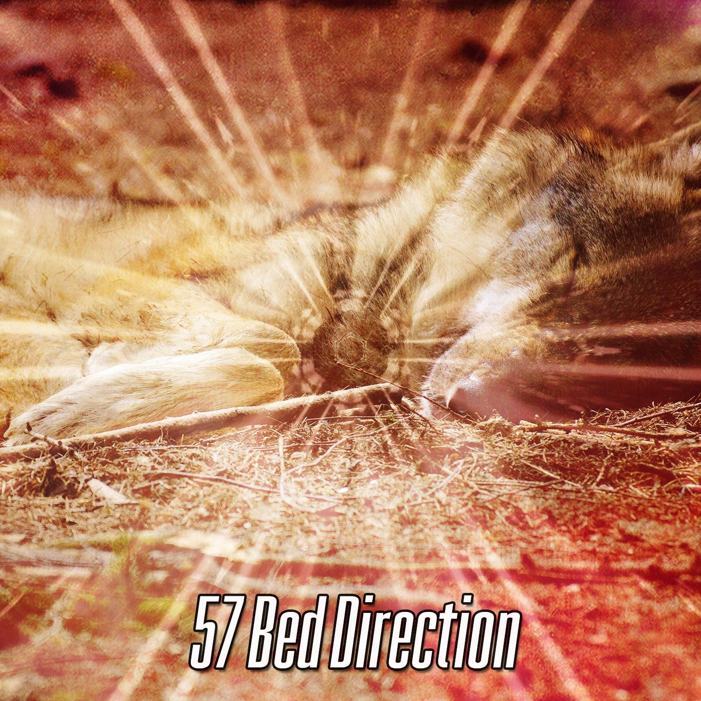 57 Bed Direction