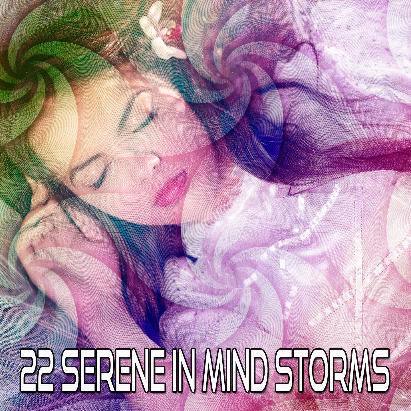 22 Serene in Mind Storms