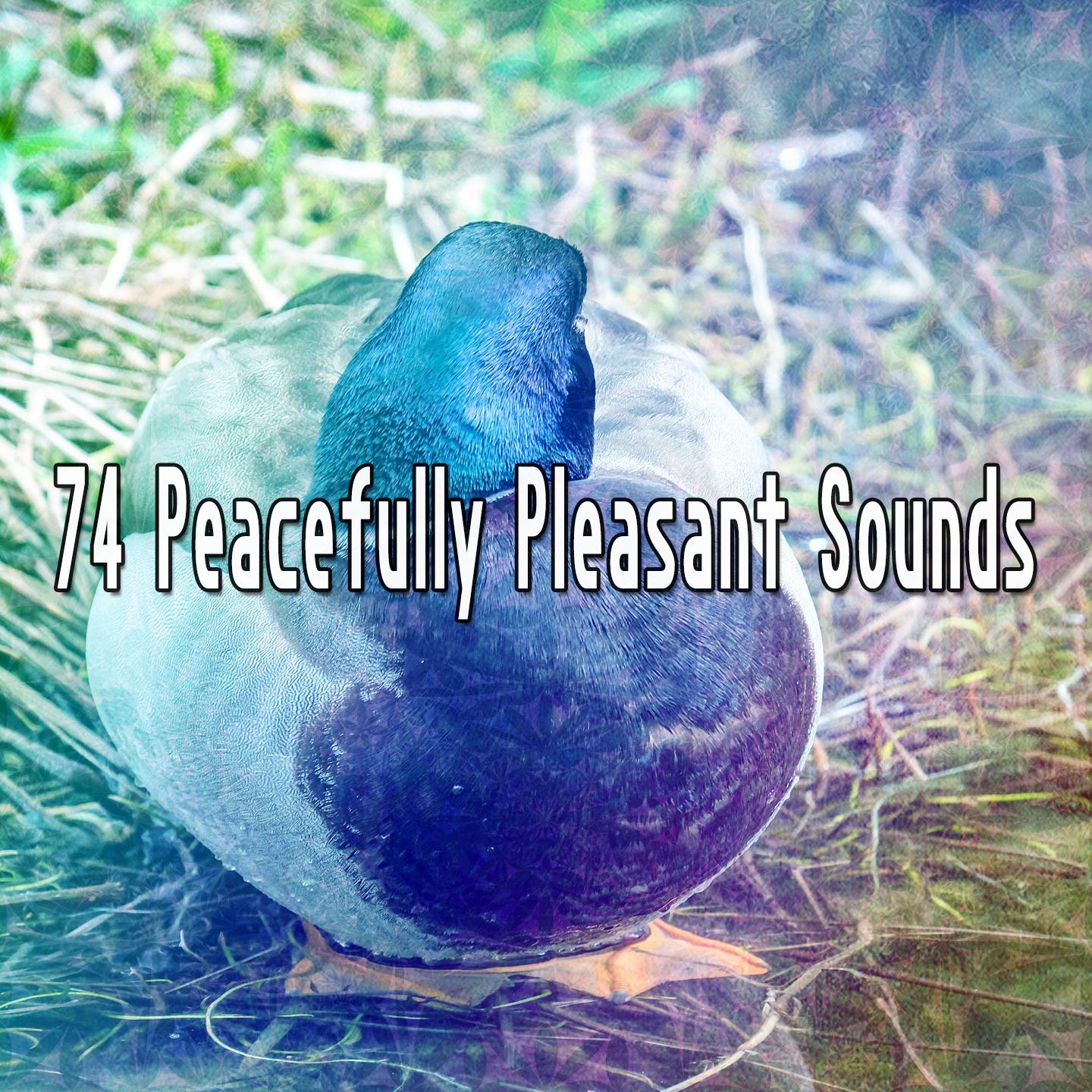 74 Peacefully Pleasant Sounds