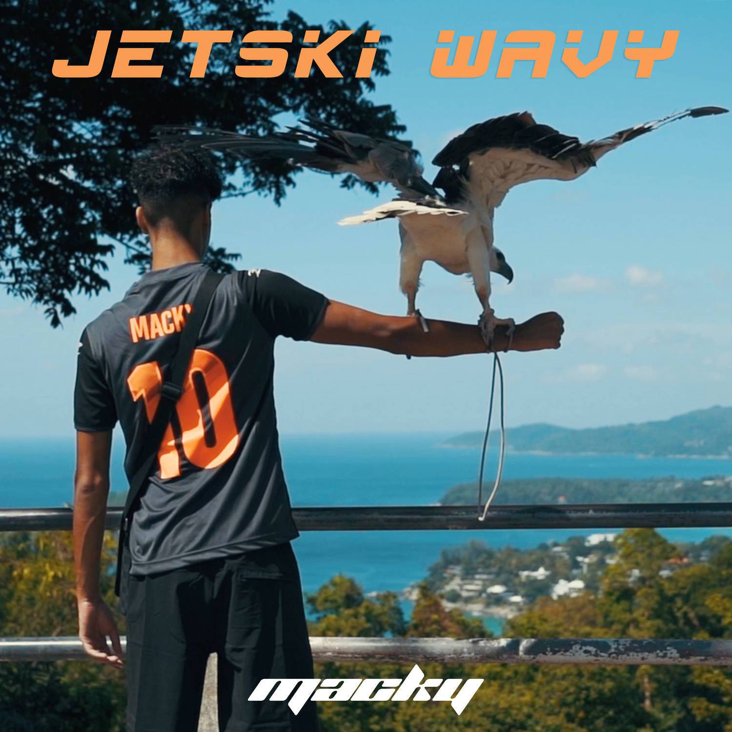 Jetski & Wavy