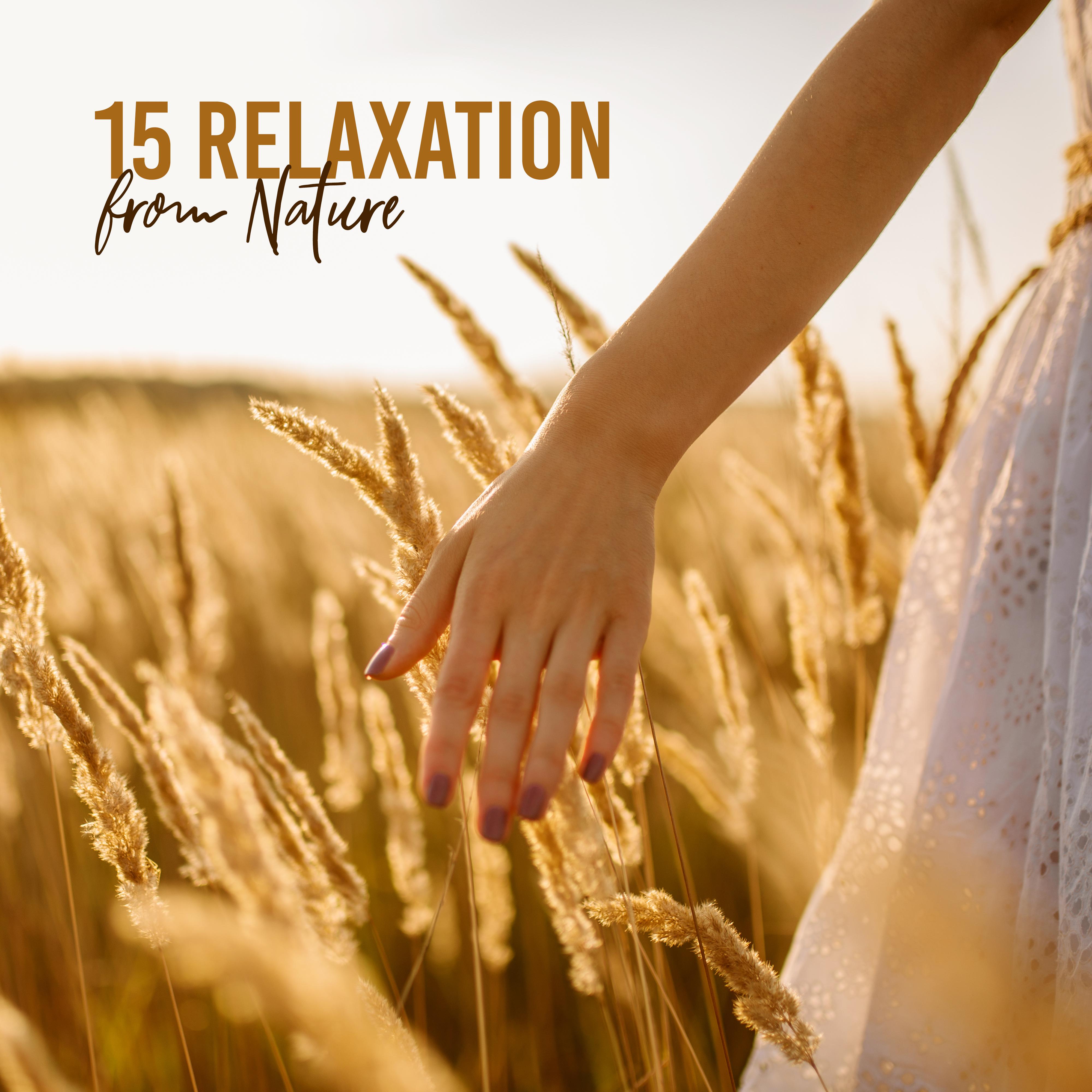 15 Relaxation from Nature – Soothing Sounds for Sleep, Meditation, Rest, Nature Music, Reduce Stress, Pure Zen, Music Therapy, New Age Music