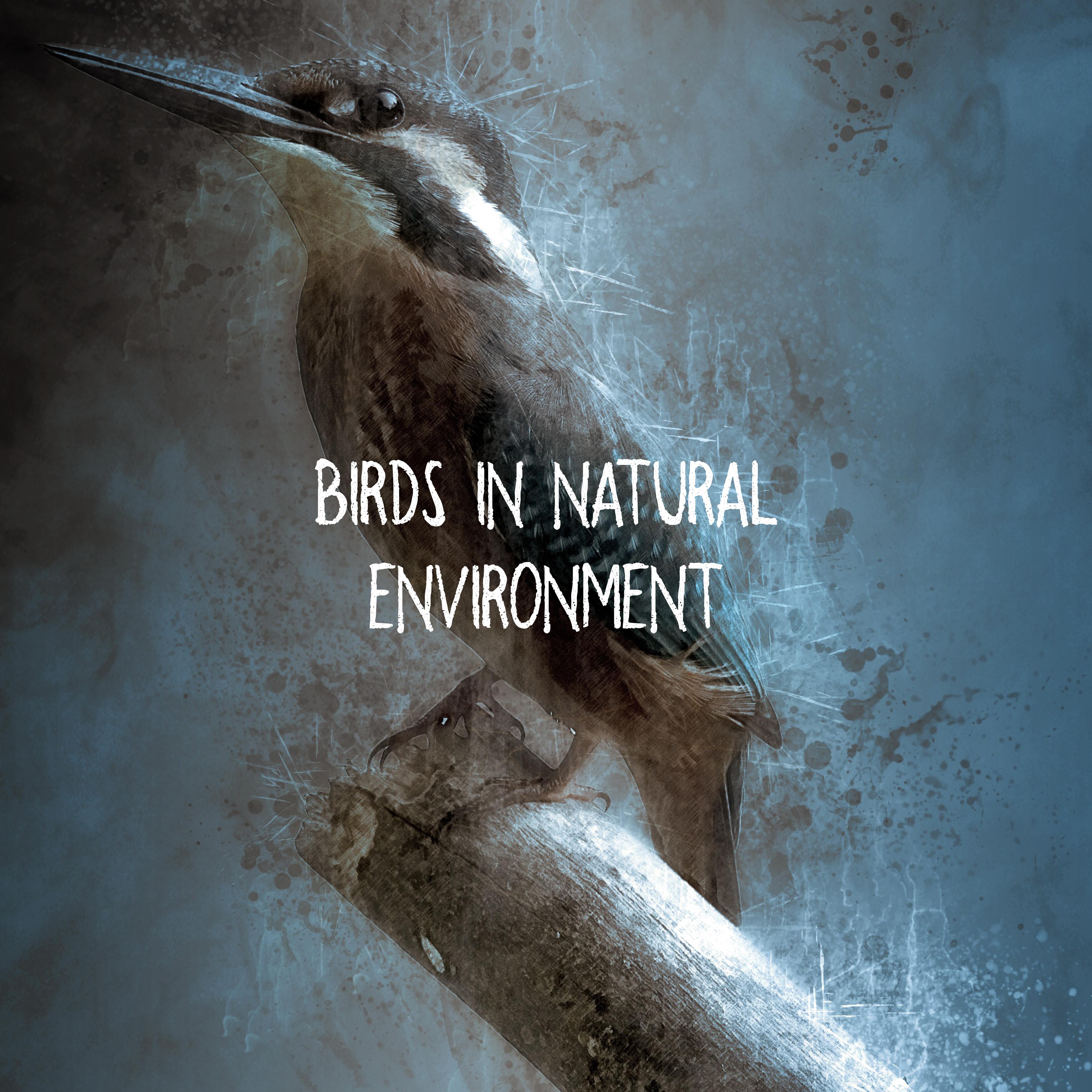 Birds in Natural Environment
