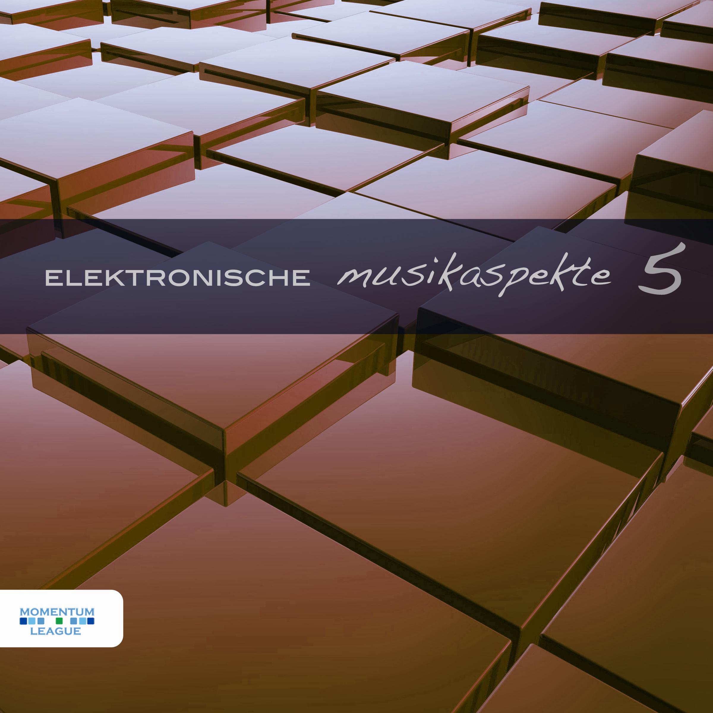 Elektronische Musikaspekte, Vol. 5