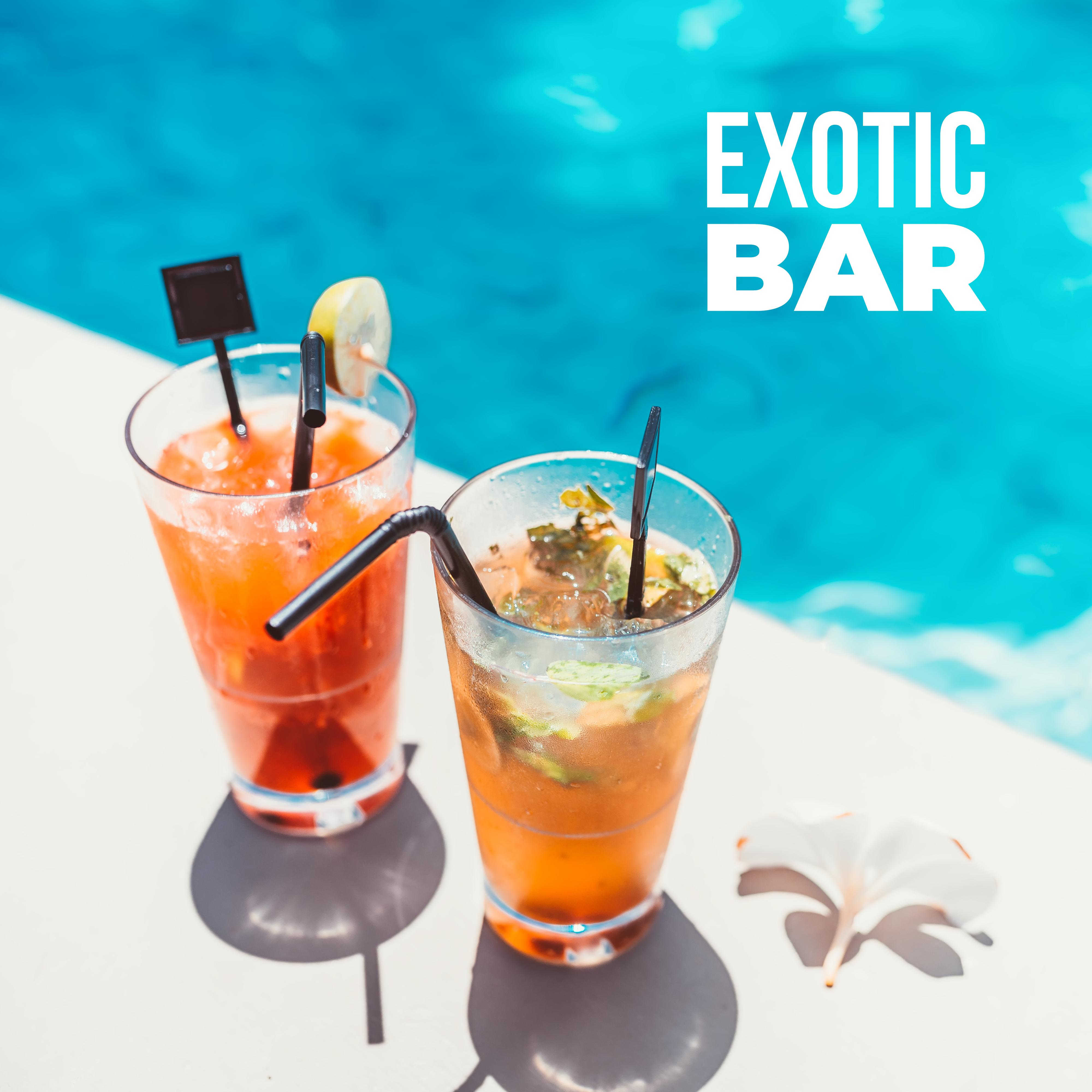 Exotic Bar: Music for Drinking, Fun, Chillout and Parties