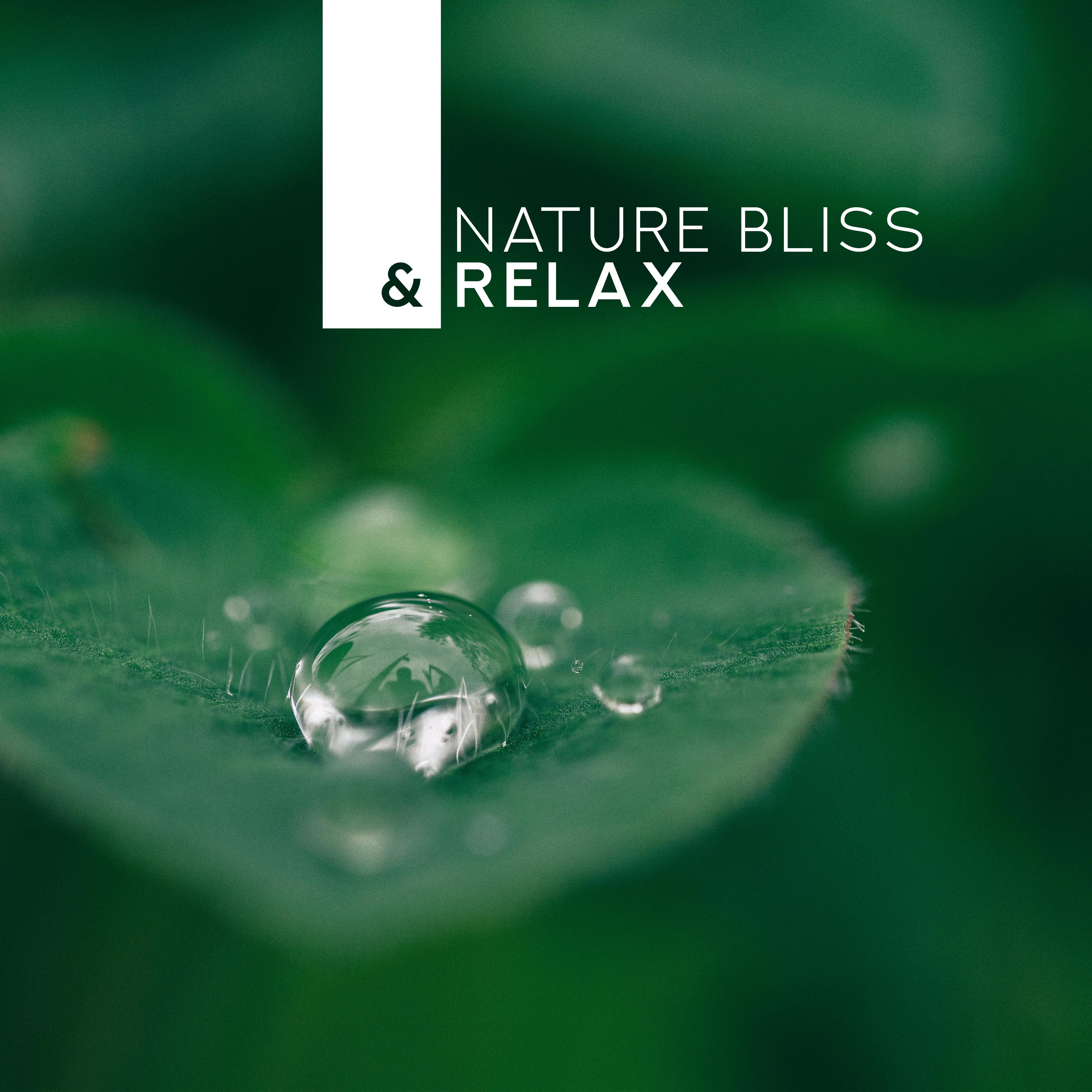 Nature Bliss & Relax – New Age Music for Reduce Stress, Nature Sounds, Pure Relaxation, Relaxing Music Therapy, Inner Harmony, Tranquil Peace, Zen Lounge